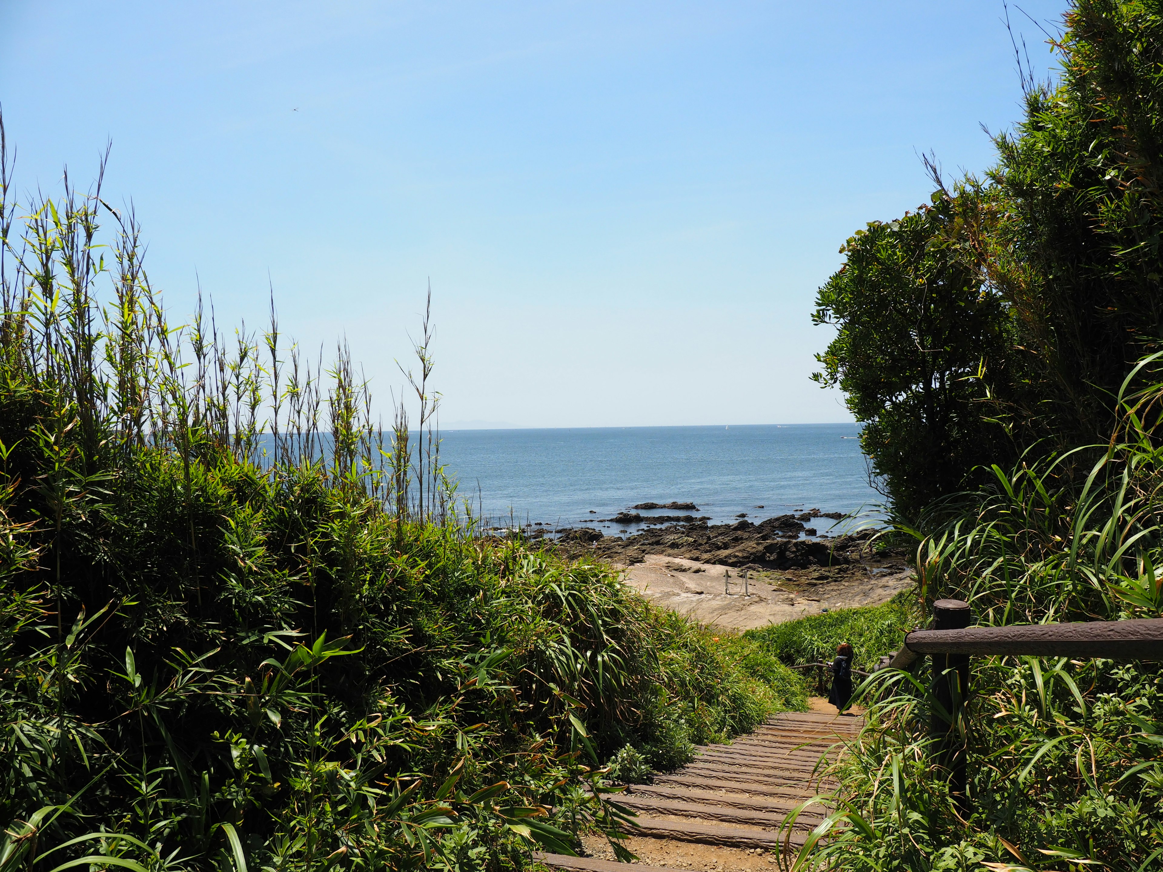 Wooden stairs leading to the sea surrounded by lush greenery