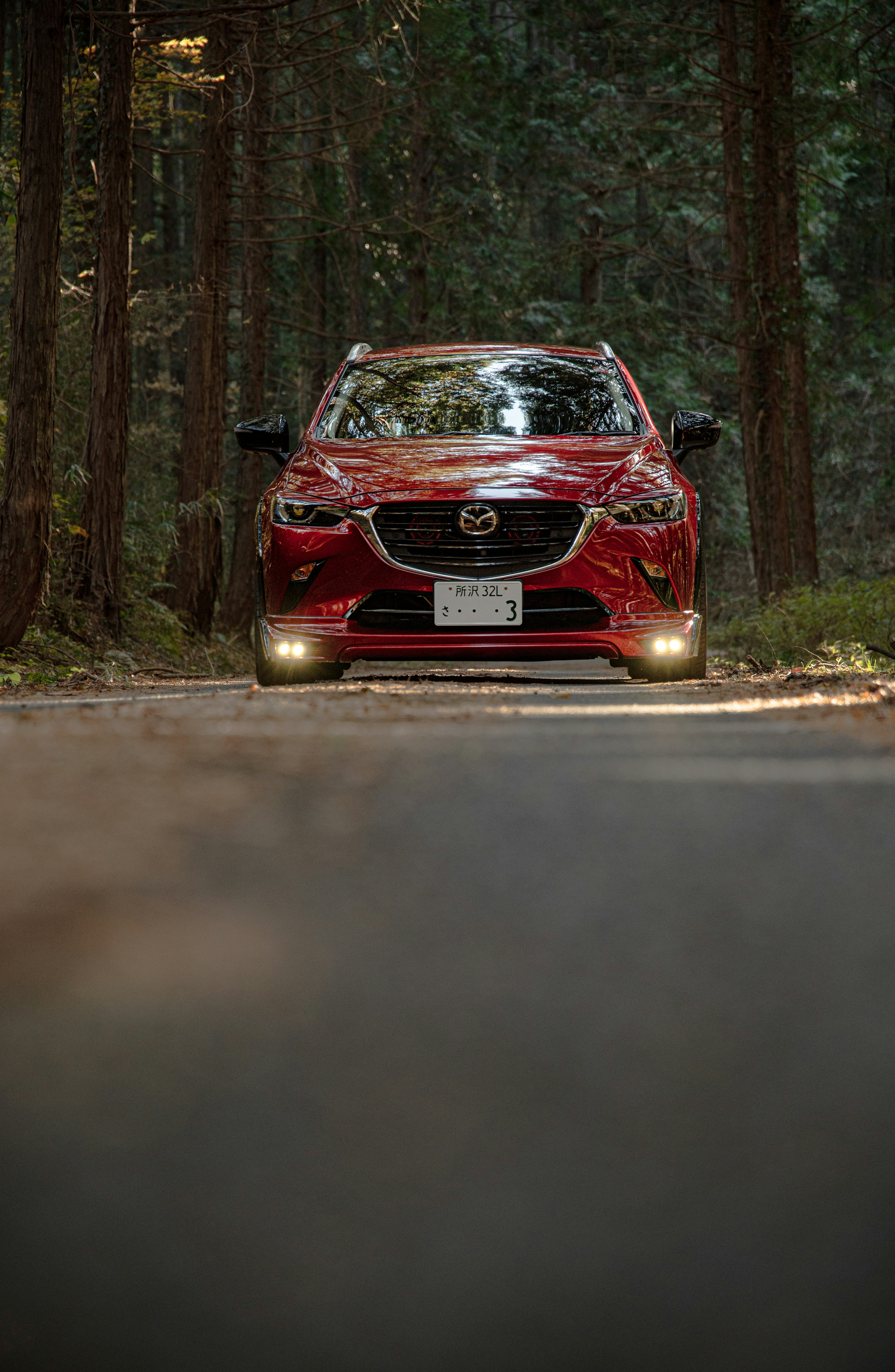 Voiture rouge roulant sur une route entourée d'arbres