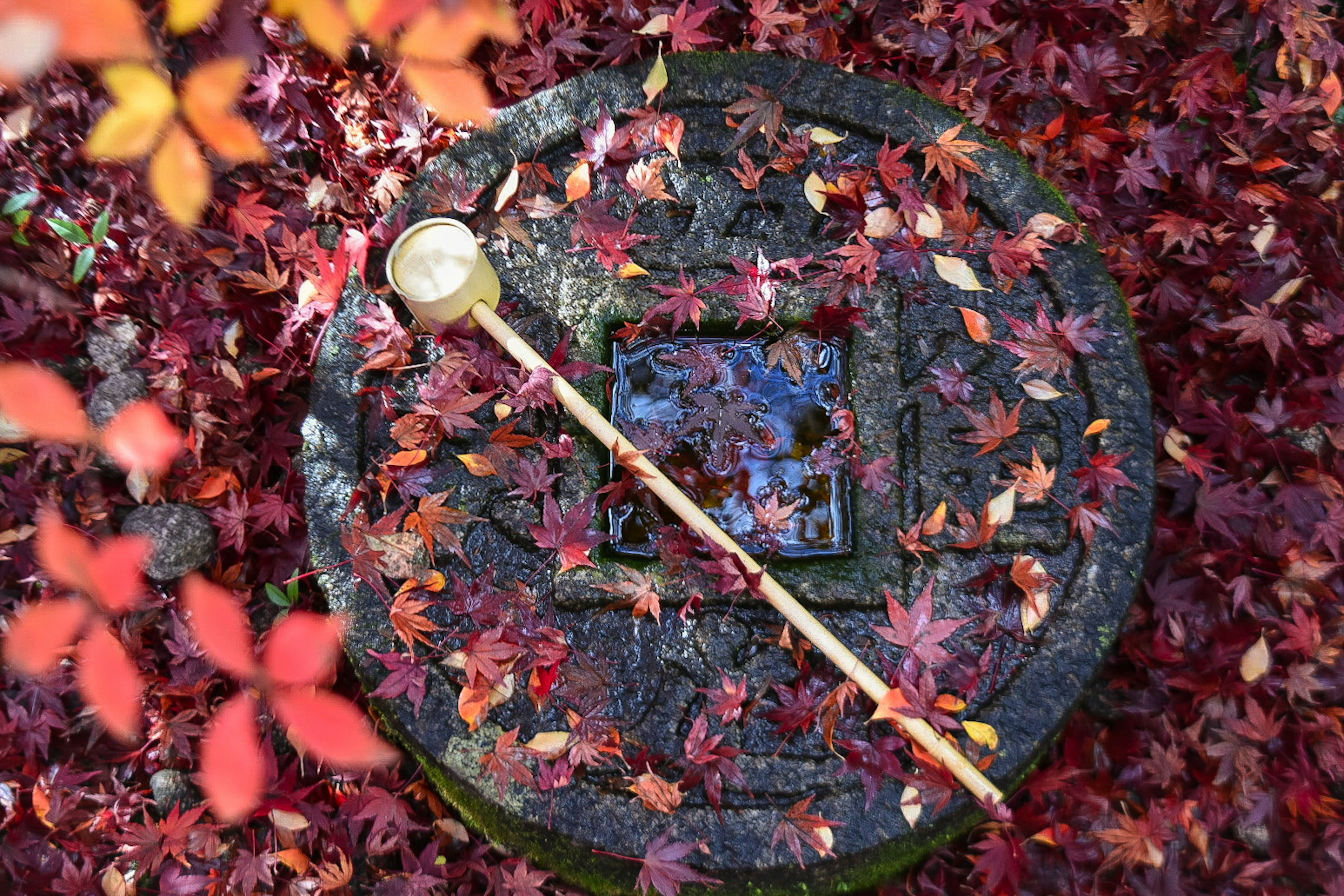 Stone cover surrounded by red maple leaves and a wooden ladle resting on top