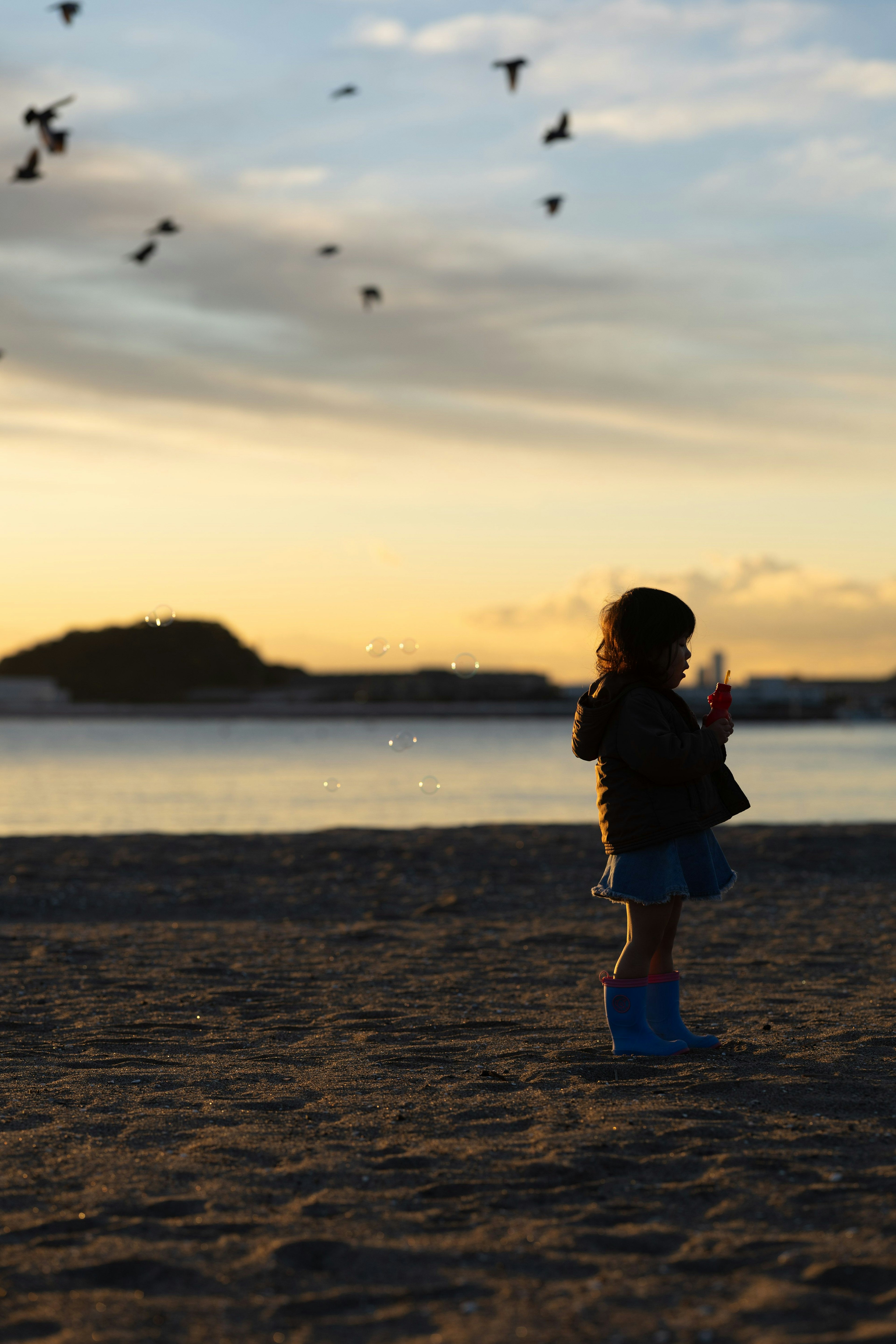 夕焼けの海辺でアイスクリームを持つ子供のシルエットと飛ぶ鳥