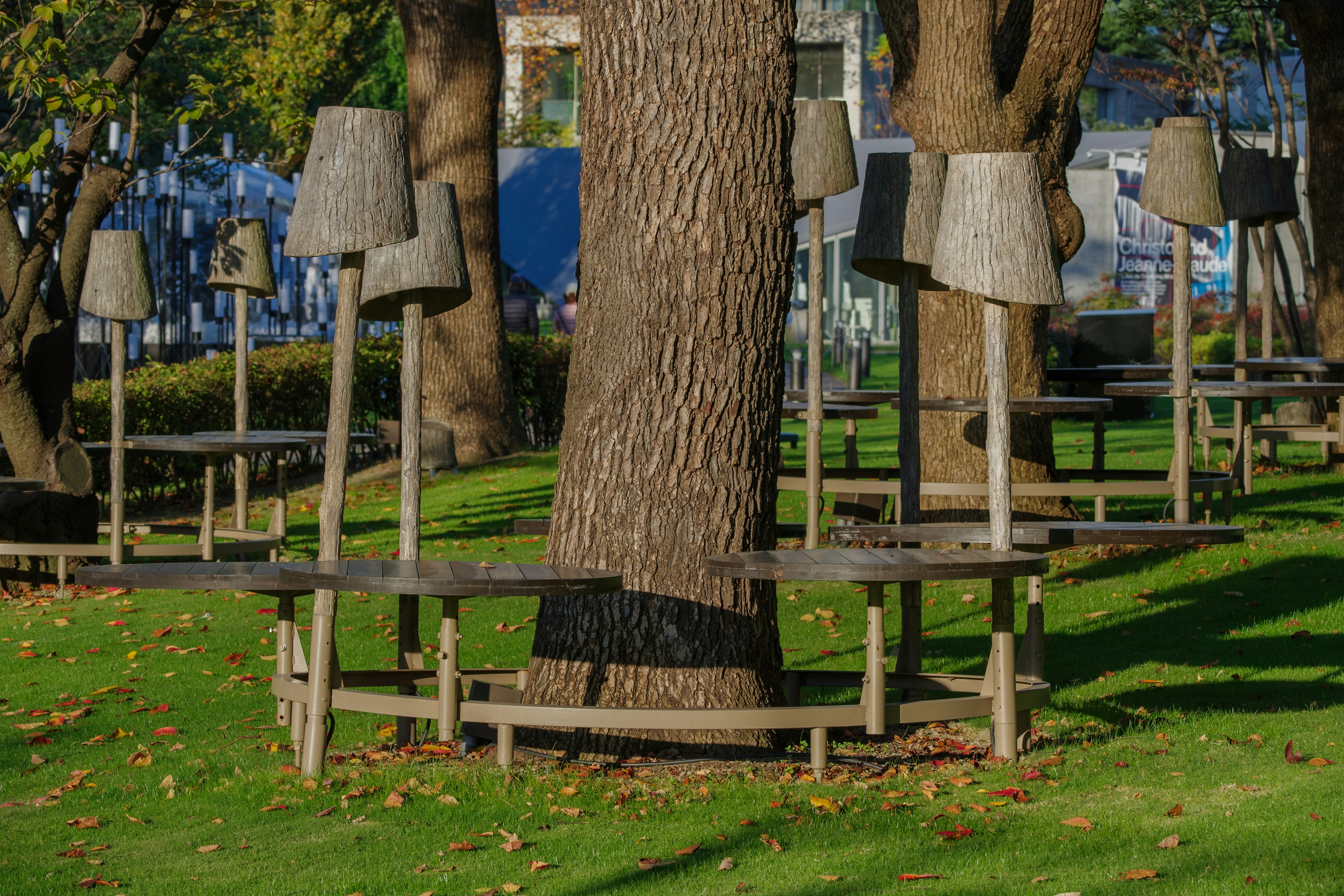 Unique benches and shade structures surrounding a tree in a park