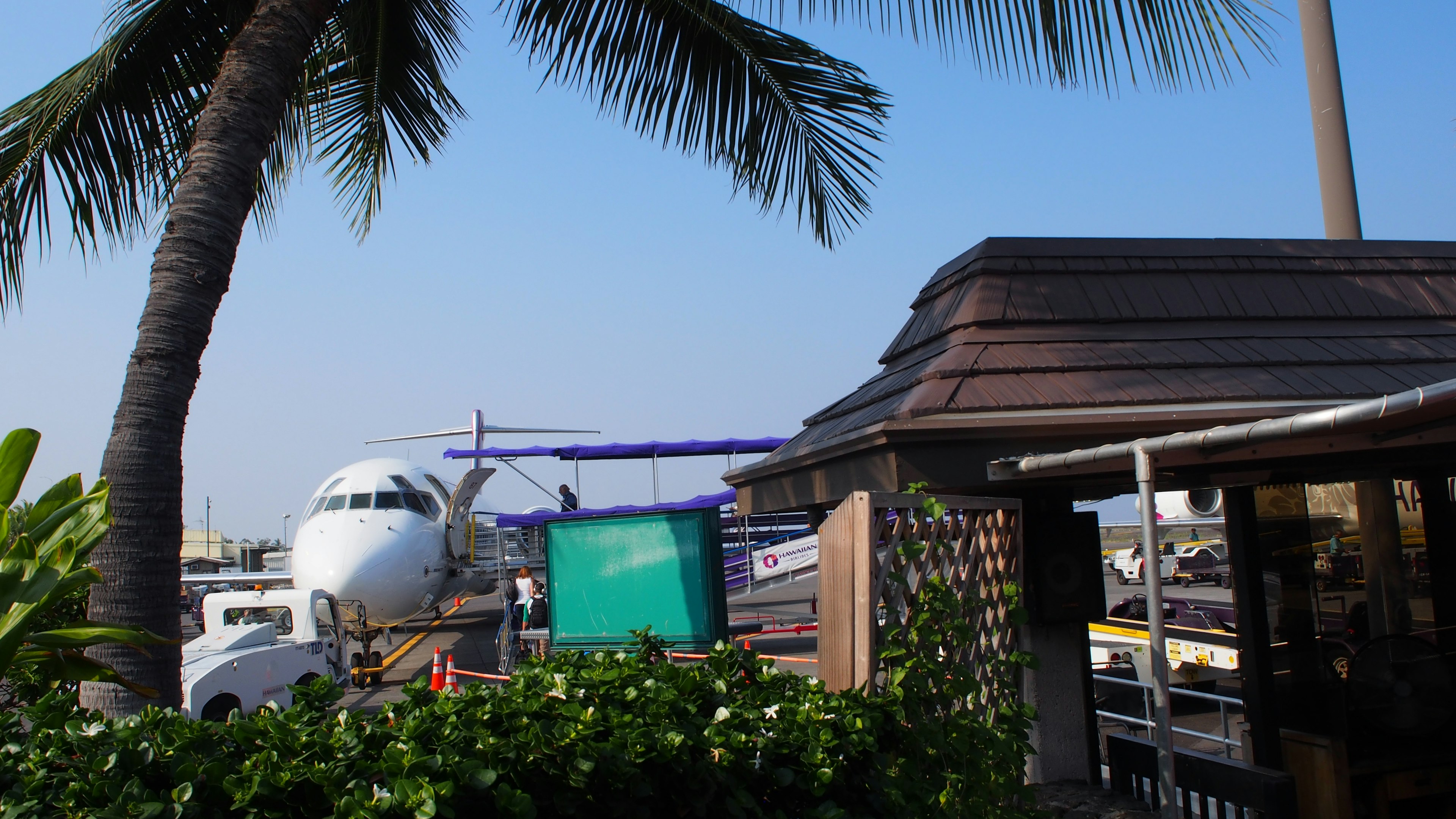 Pemandangan bandara dengan pesawat dan pohon palem