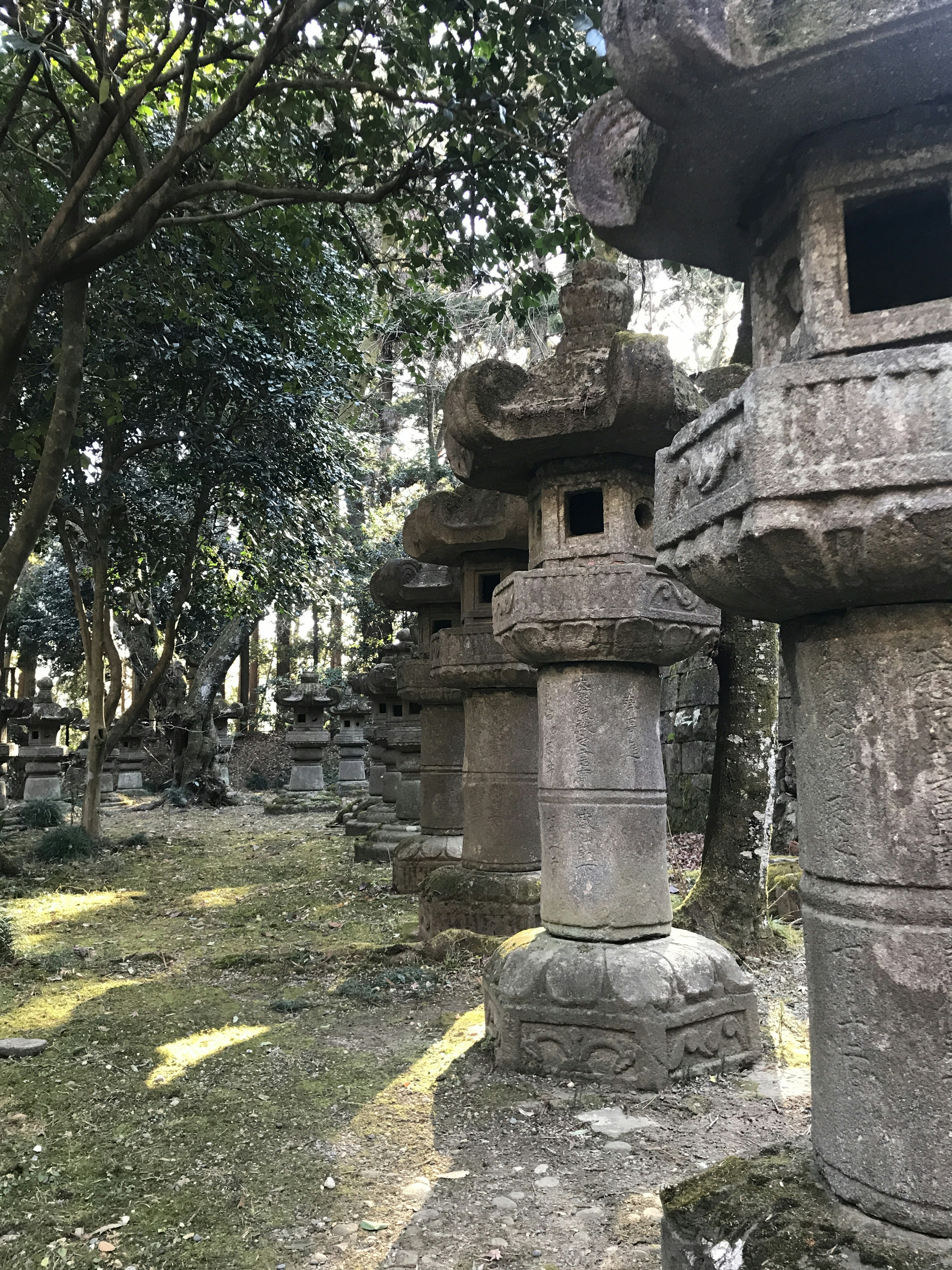 A view of ancient stone lanterns lined in a lush garden