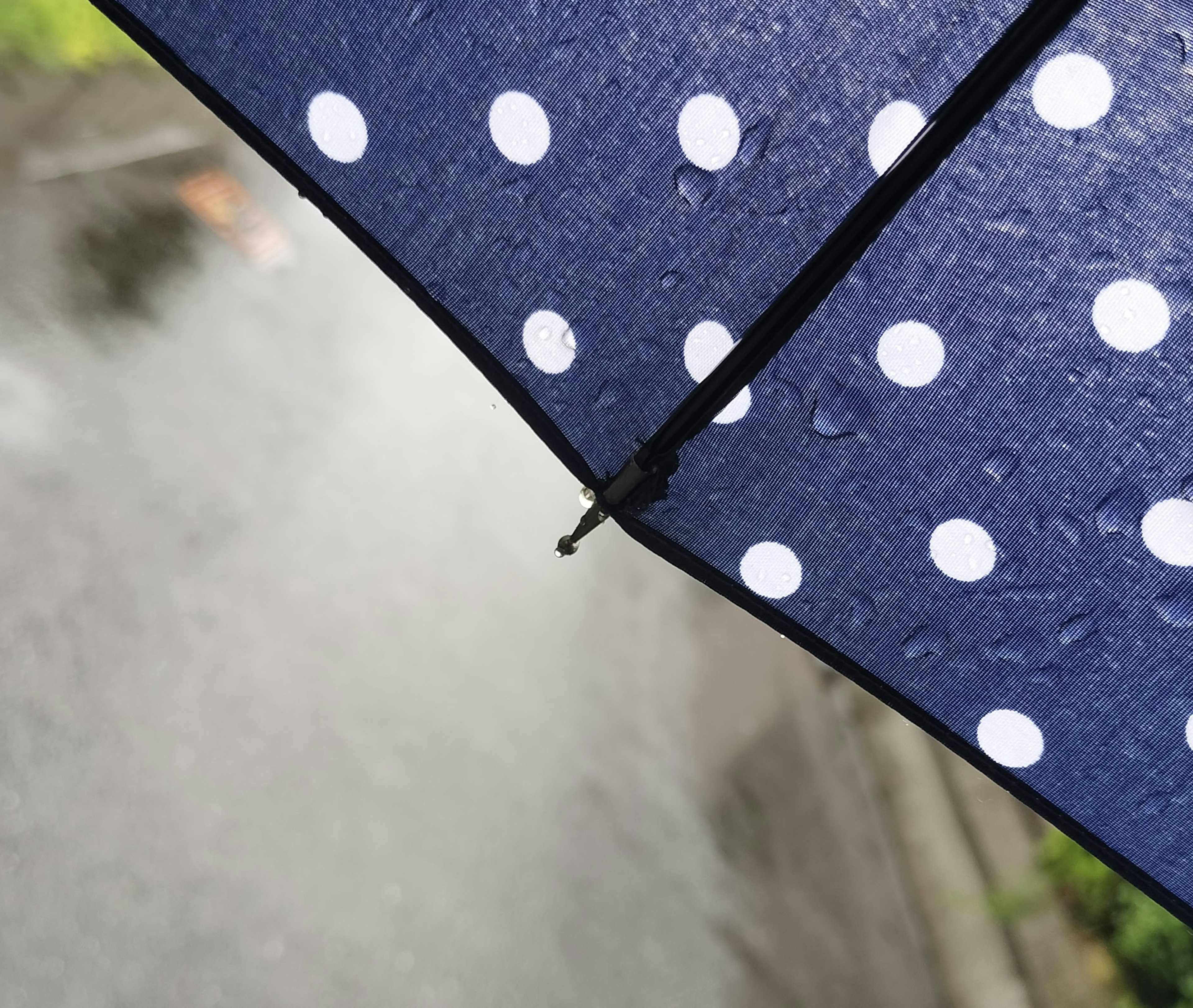 part of a polka dot umbrella amidst splashes of water