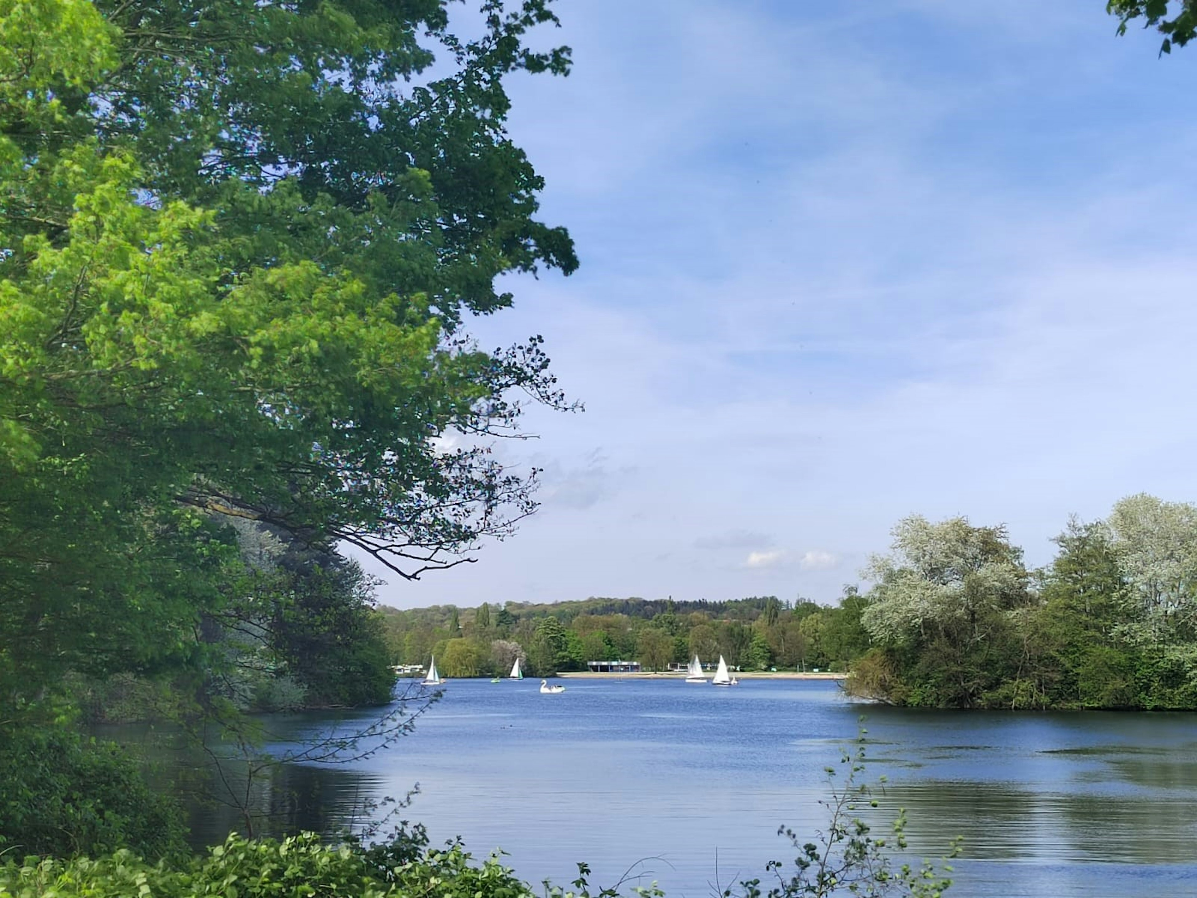 Ruhige Flusslandschaft mit üppigen grünen Bäumen