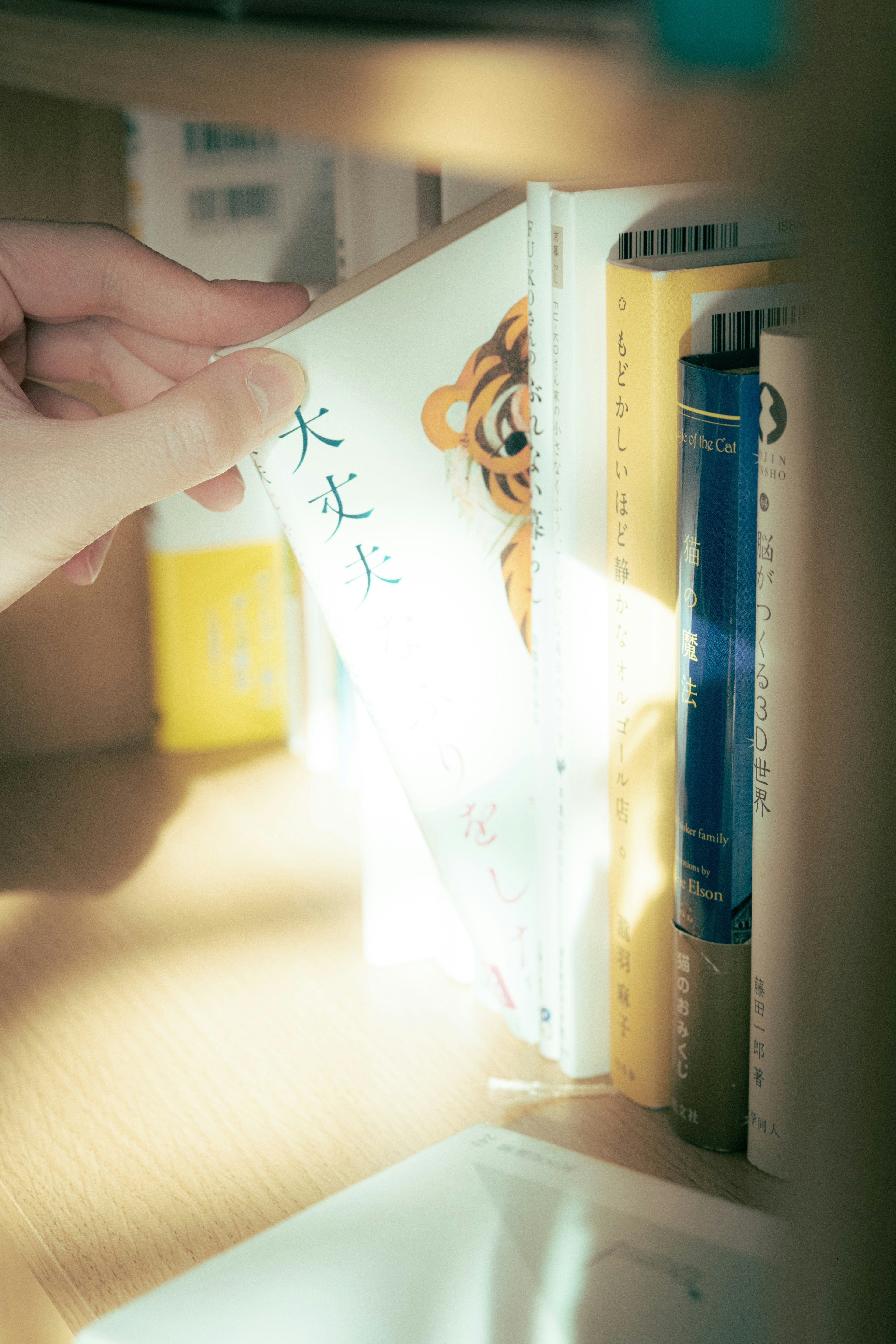 A hand pulling out a book with a tiger illustration on the cover from a bookshelf