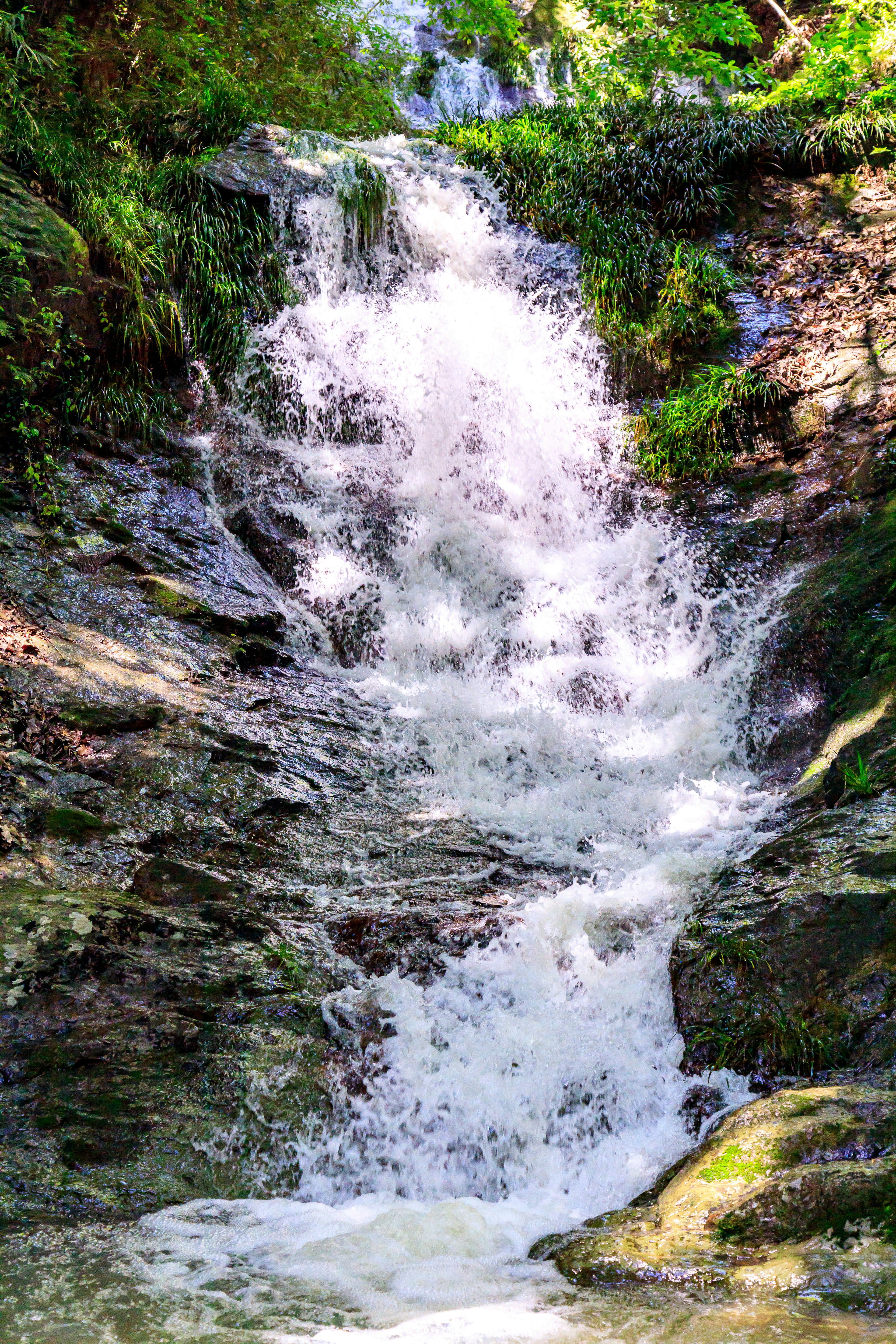 A beautiful waterfall cascading over rocks surrounded by greenery