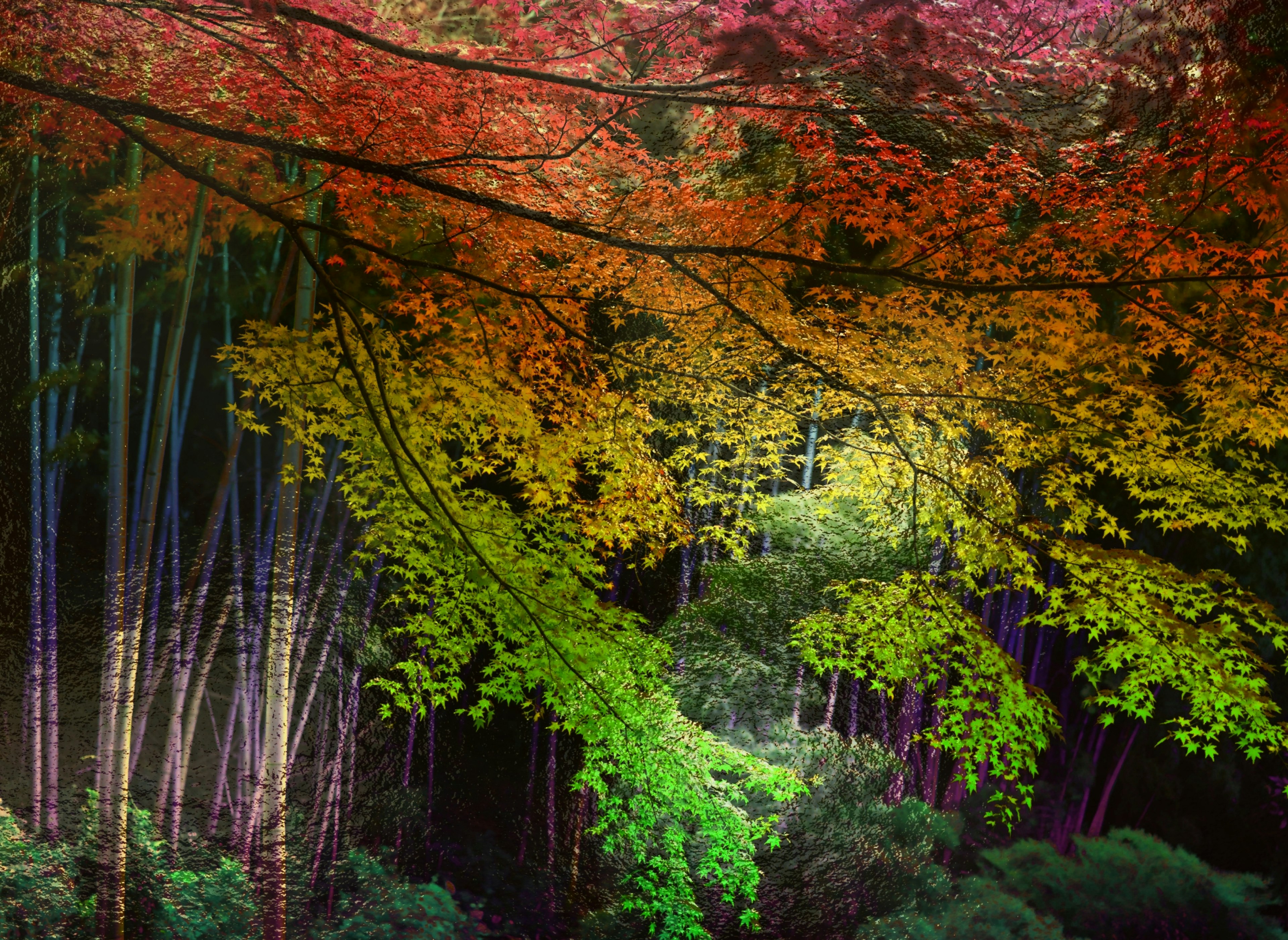 Scena forestale vibrante con foglie colorate in rosso e verde