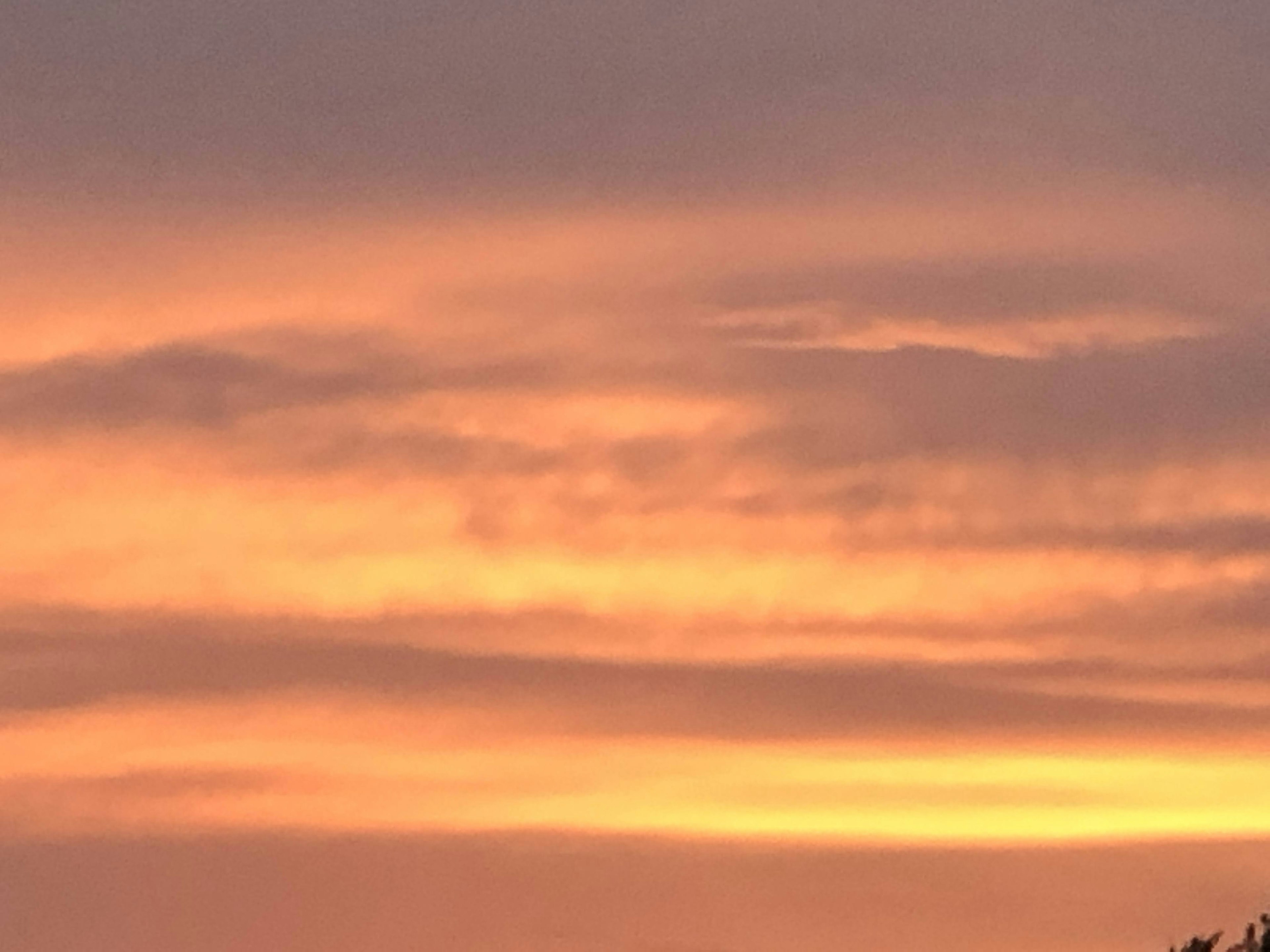 Orange and pink clouds spreading across a sunset sky