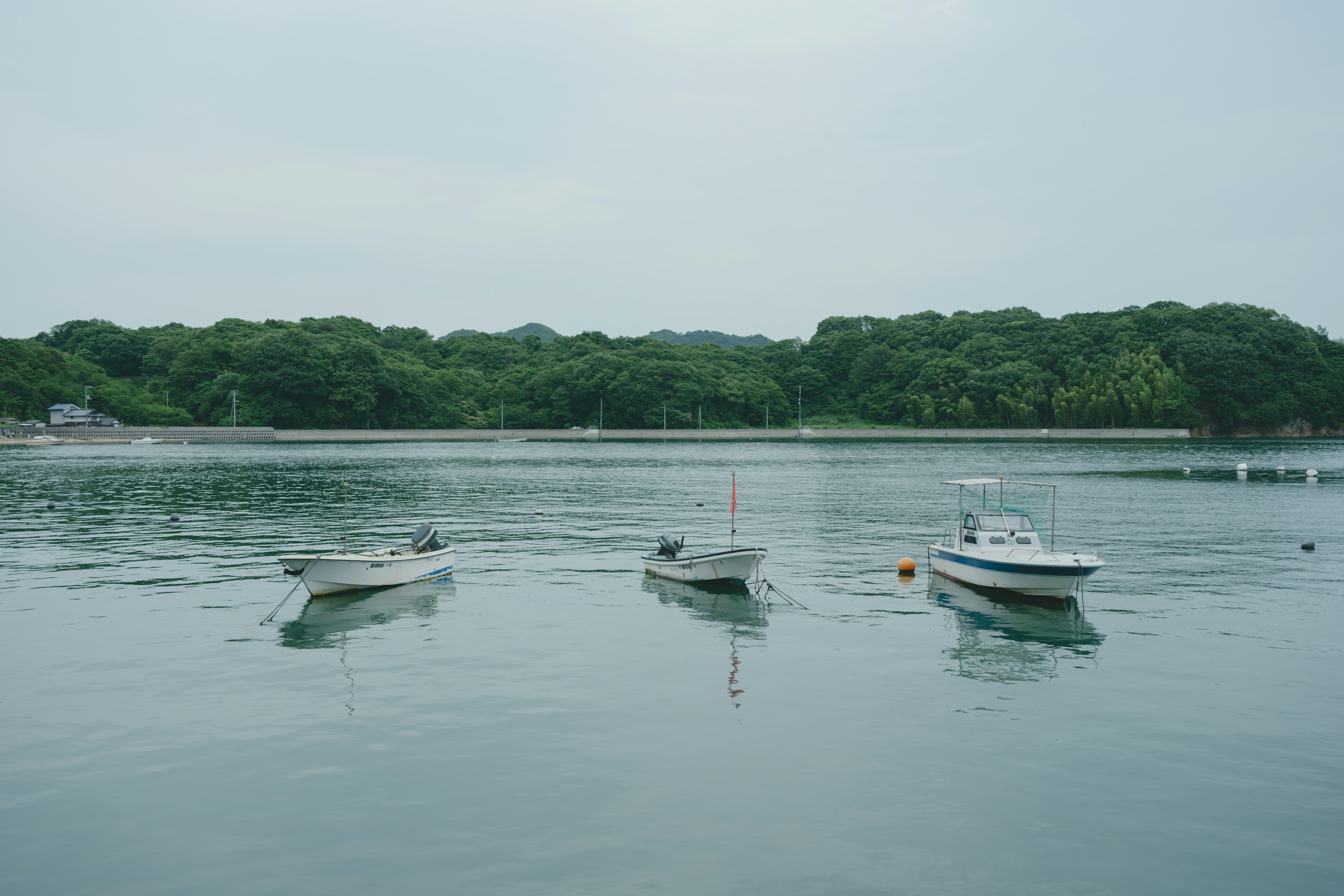 Trois petits bateaux flottant sur une surface d'eau calme avec un arrière-plan verdoyant