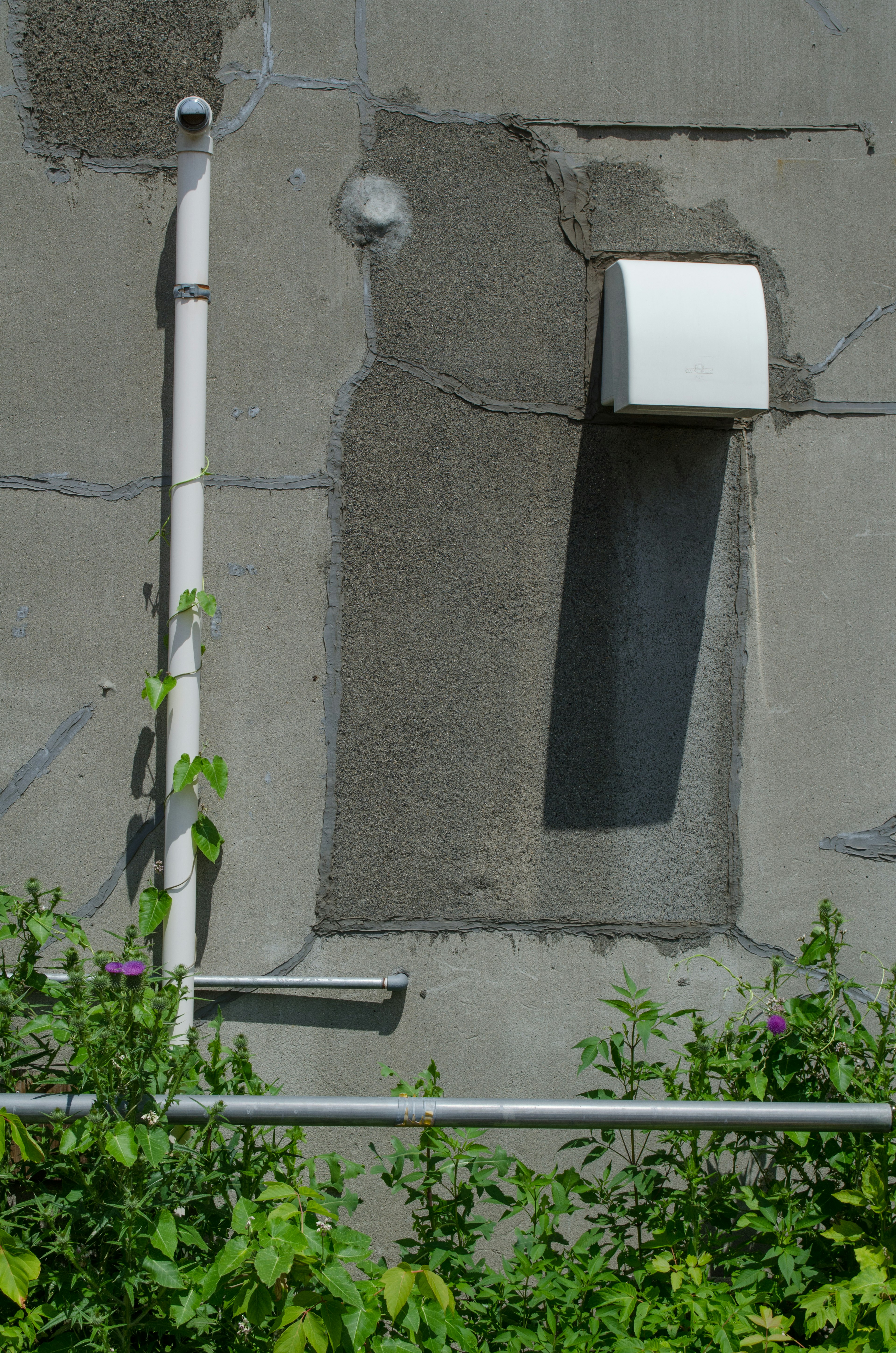 Caja blanca adjunta a una pared de concreto con tuberías visibles y vegetación