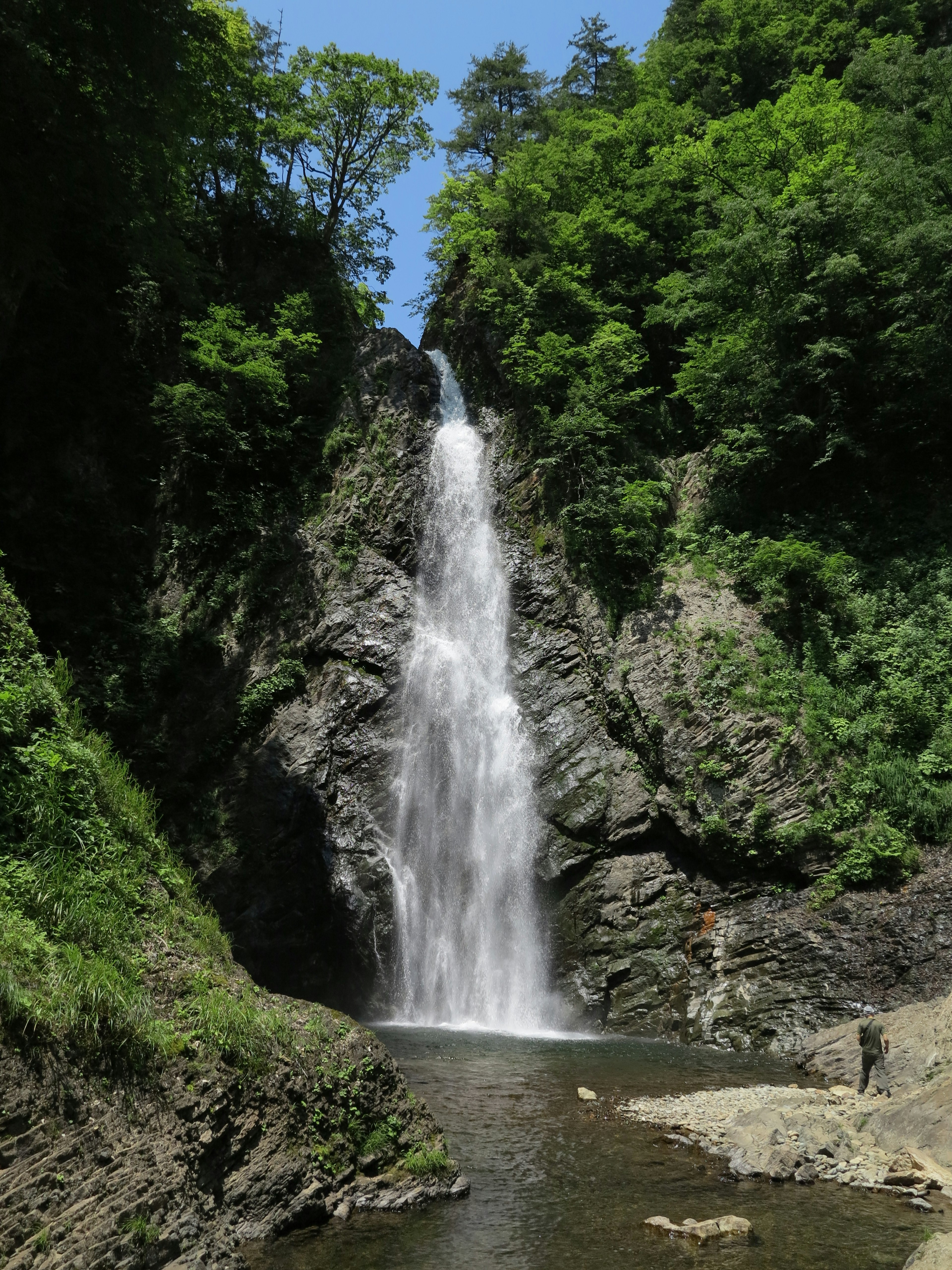 Sebuah air terjun indah dikelilingi oleh pepohonan hijau