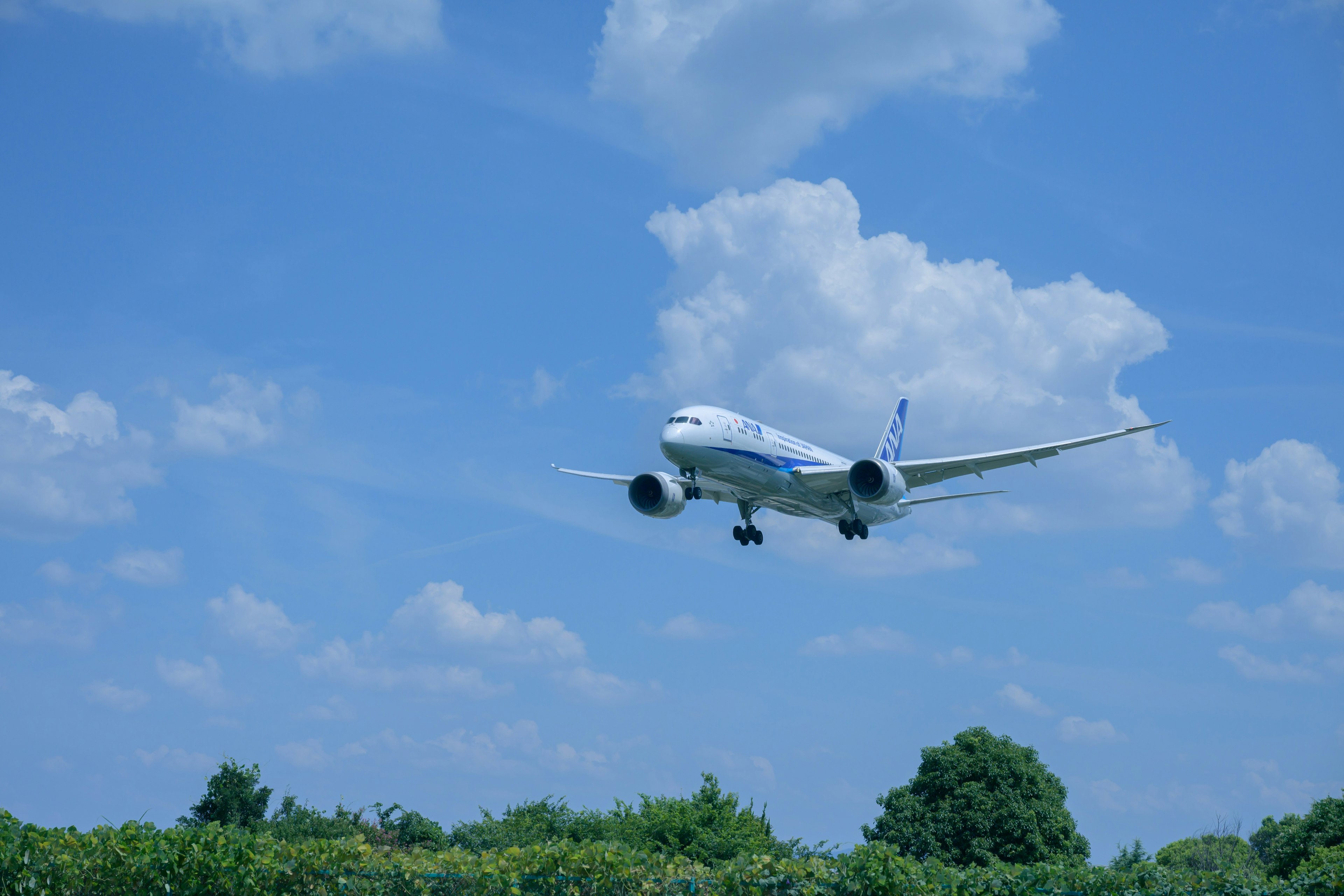 青空の下を飛ぶ航空機と白い雲のコントラスト