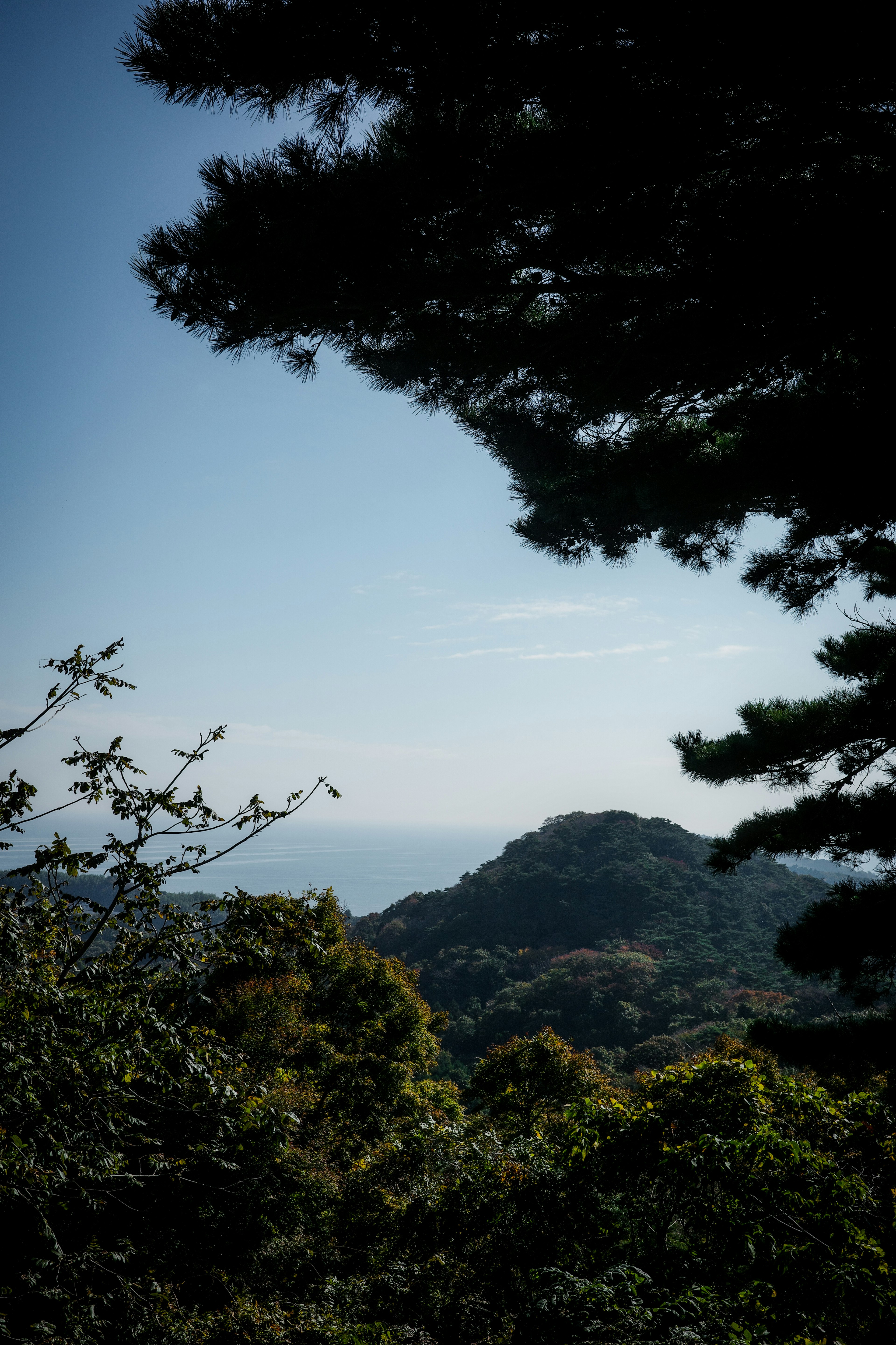 青空と山の景色が楽しめる自然の風景