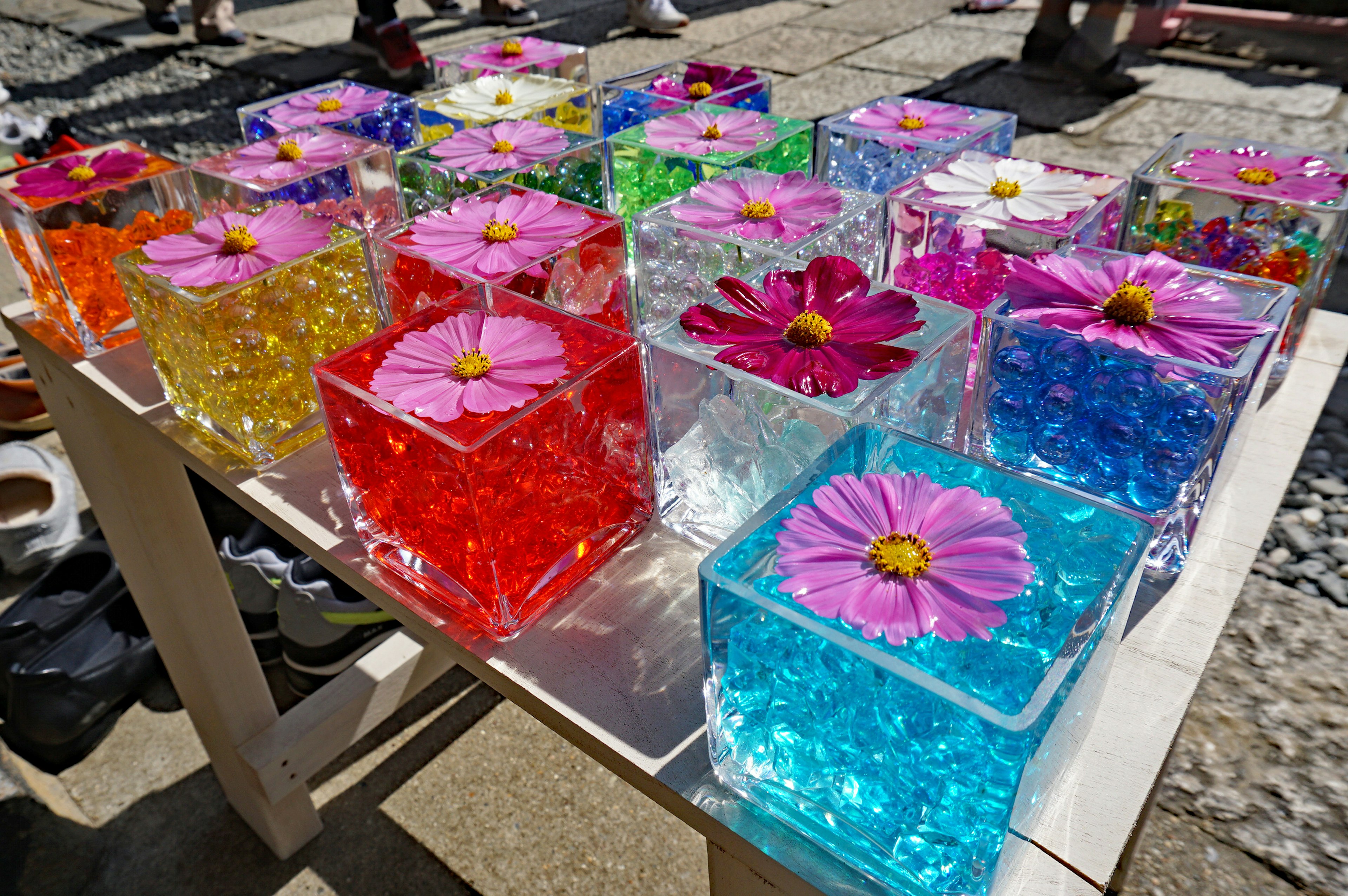 Blocs en gelée colorés avec des fleurs intégrées exposés sur une table