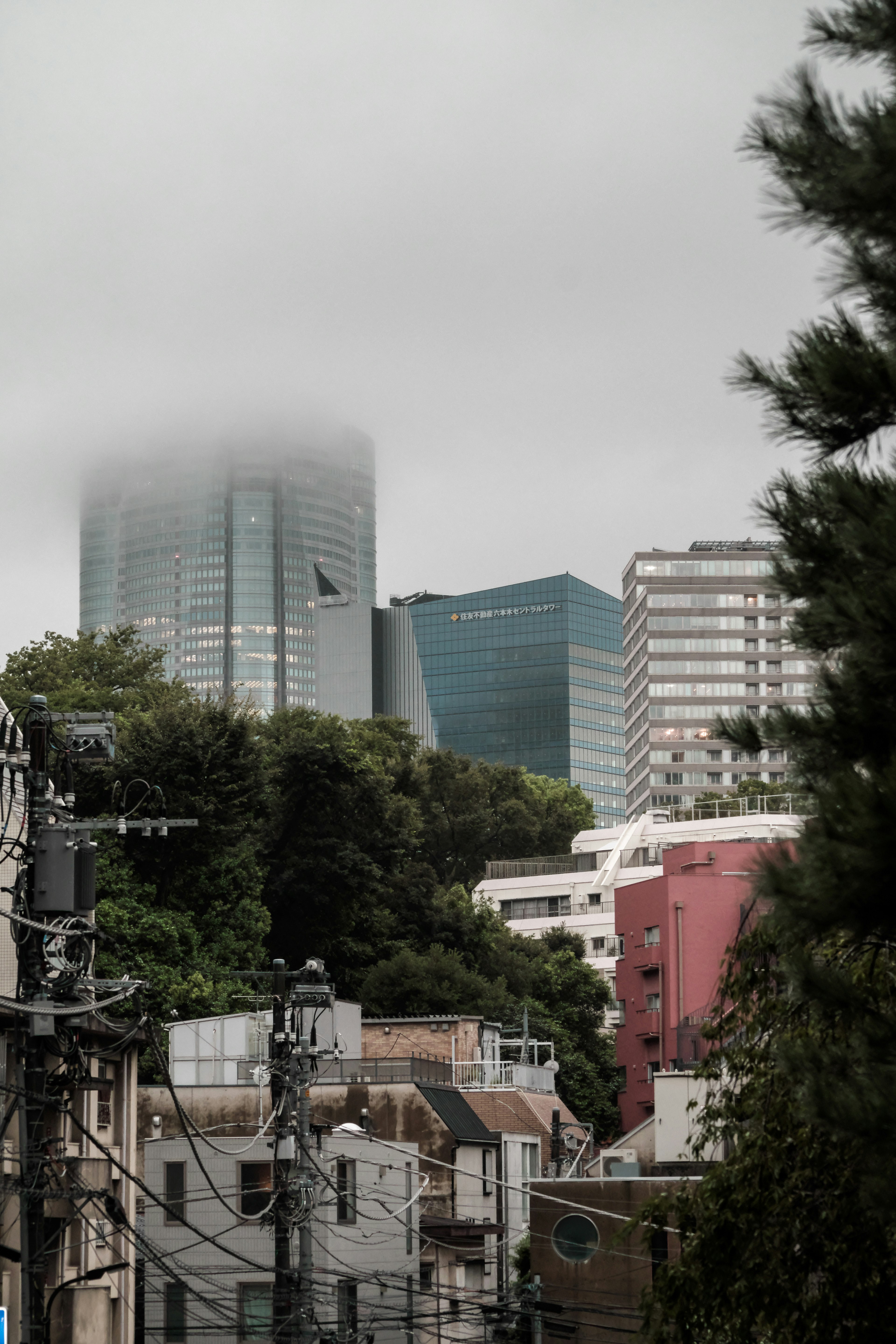 霧に包まれた高層ビルと緑の木々の風景