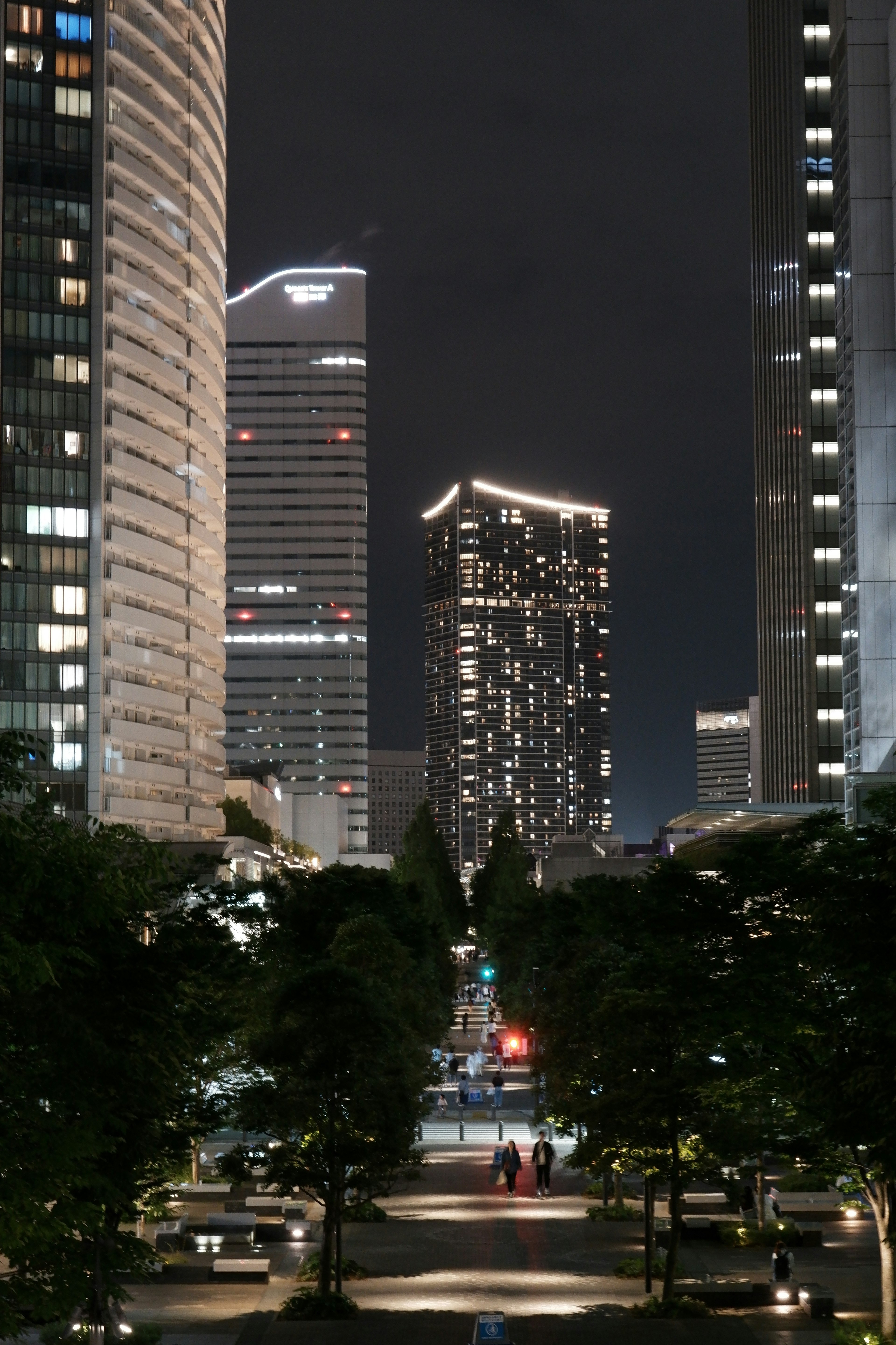 夜の都市風景、高層ビルが並ぶ通り、明るい窓の光、緑の木々