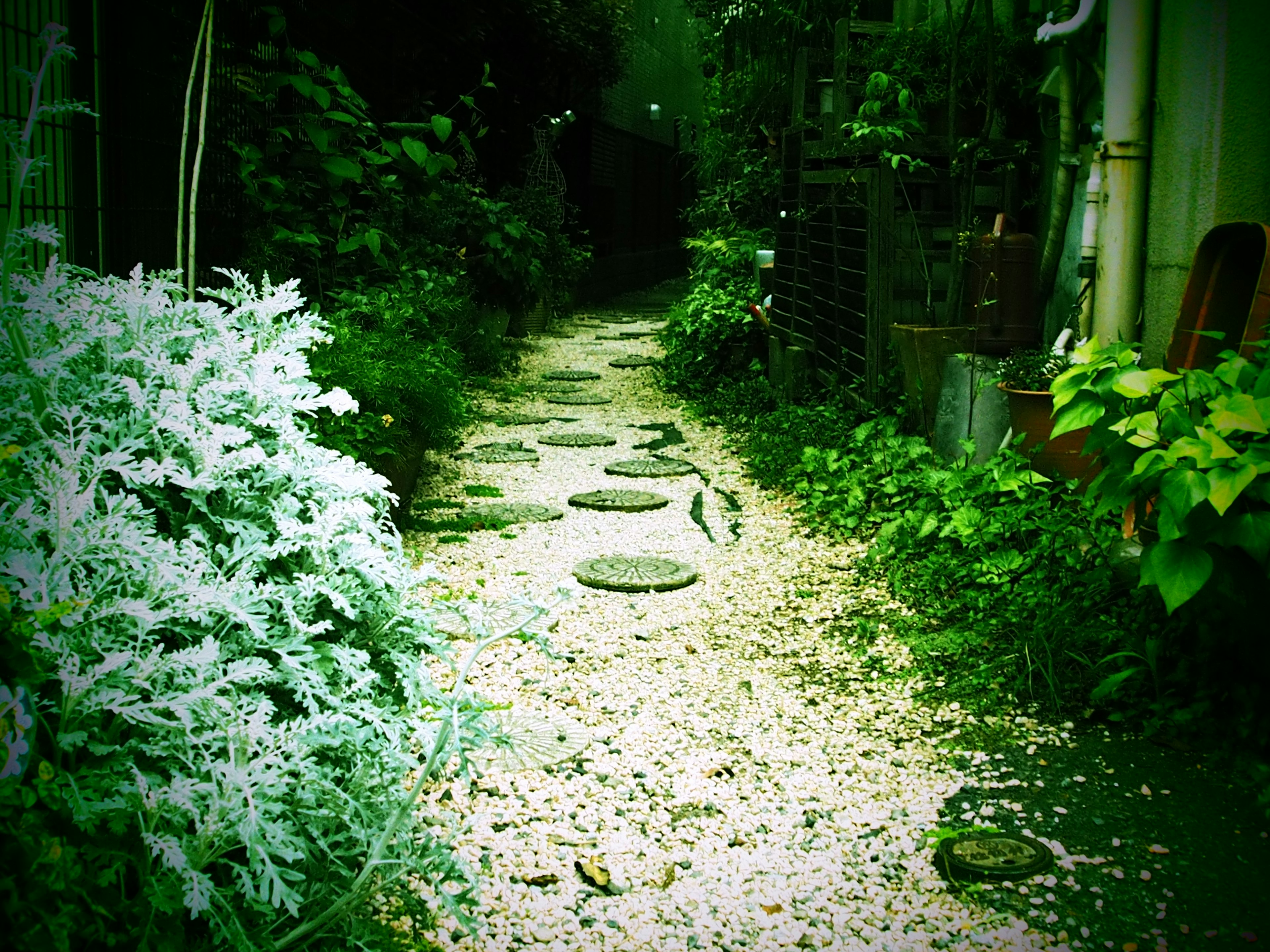 Sendero de jardín exuberante con piedras y grava blanca