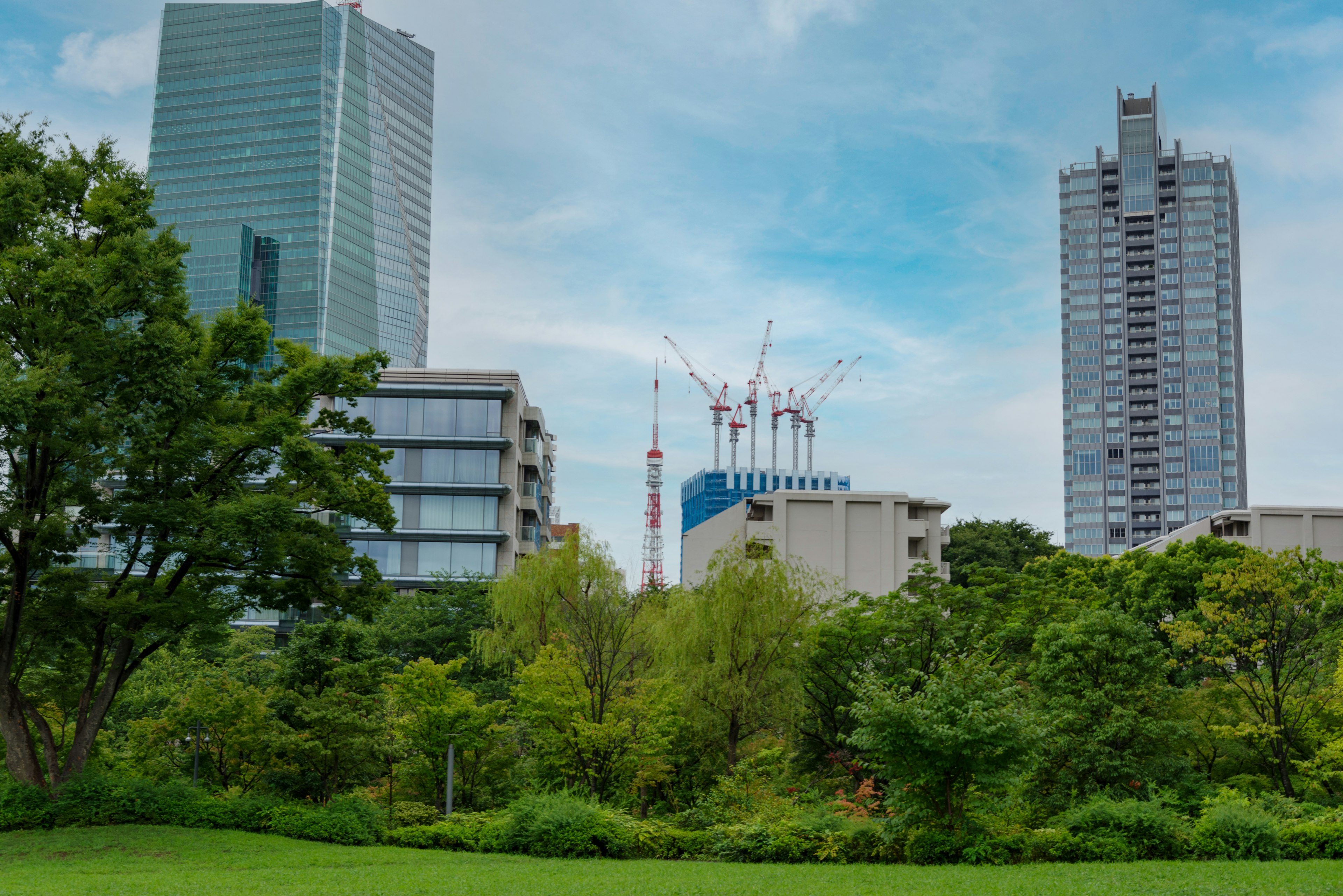 Üppiger Park mit Wolkenkratzern und Baustellenkranen im Hintergrund