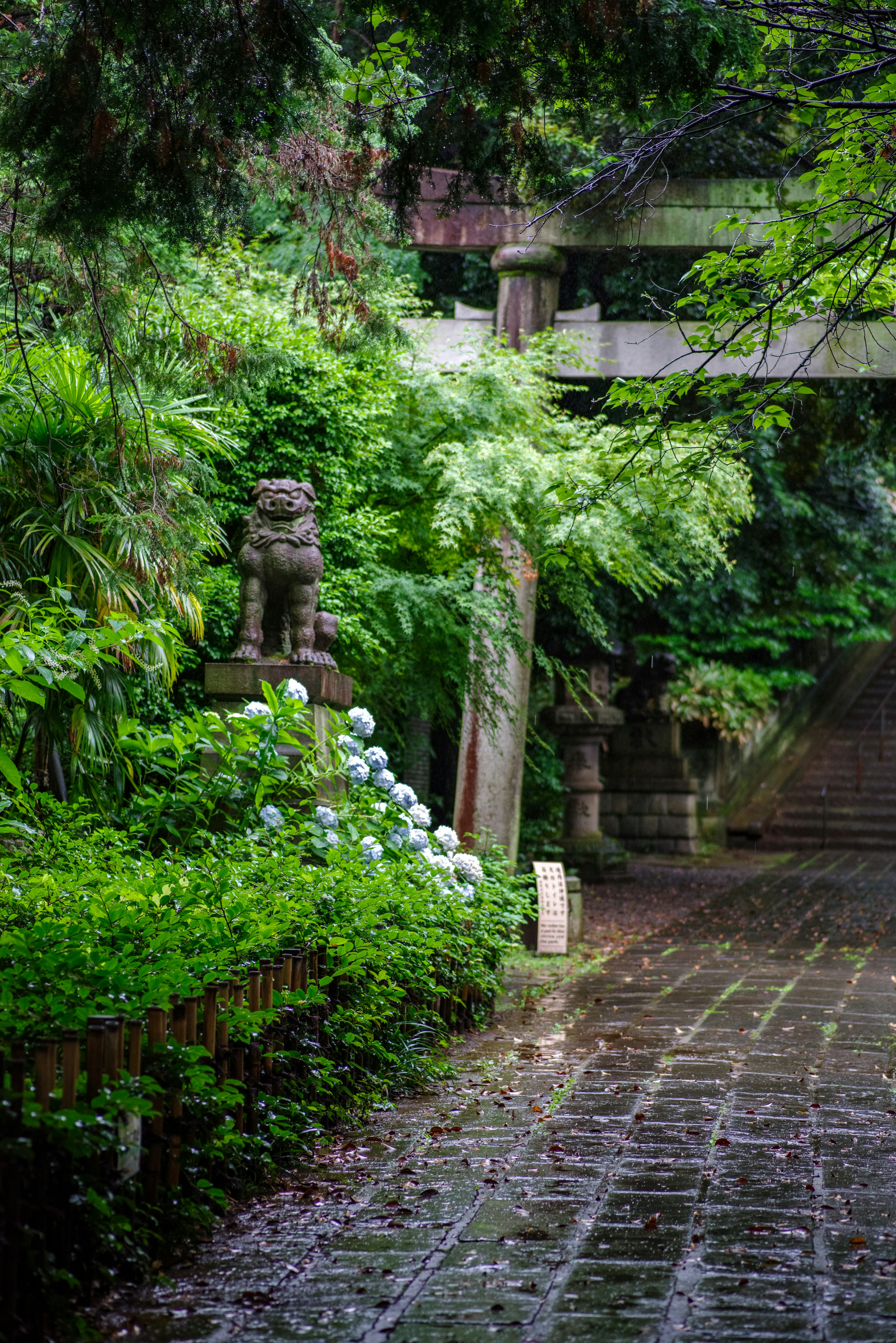 緑豊かな庭園の小道にある獅子の像と紫陽花