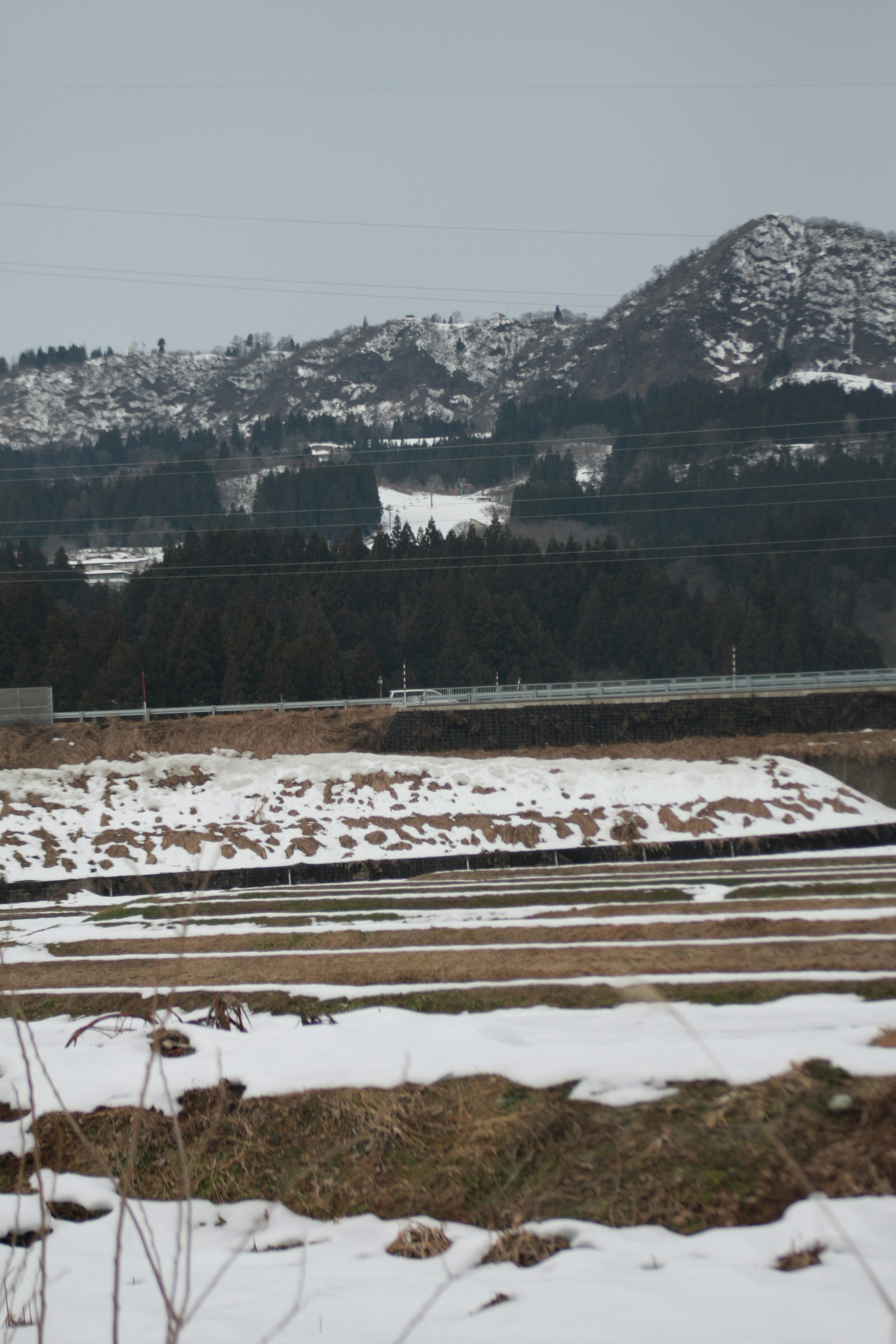 Mit Schnee bedeckte Reisfelder mit Bergen im Hintergrund