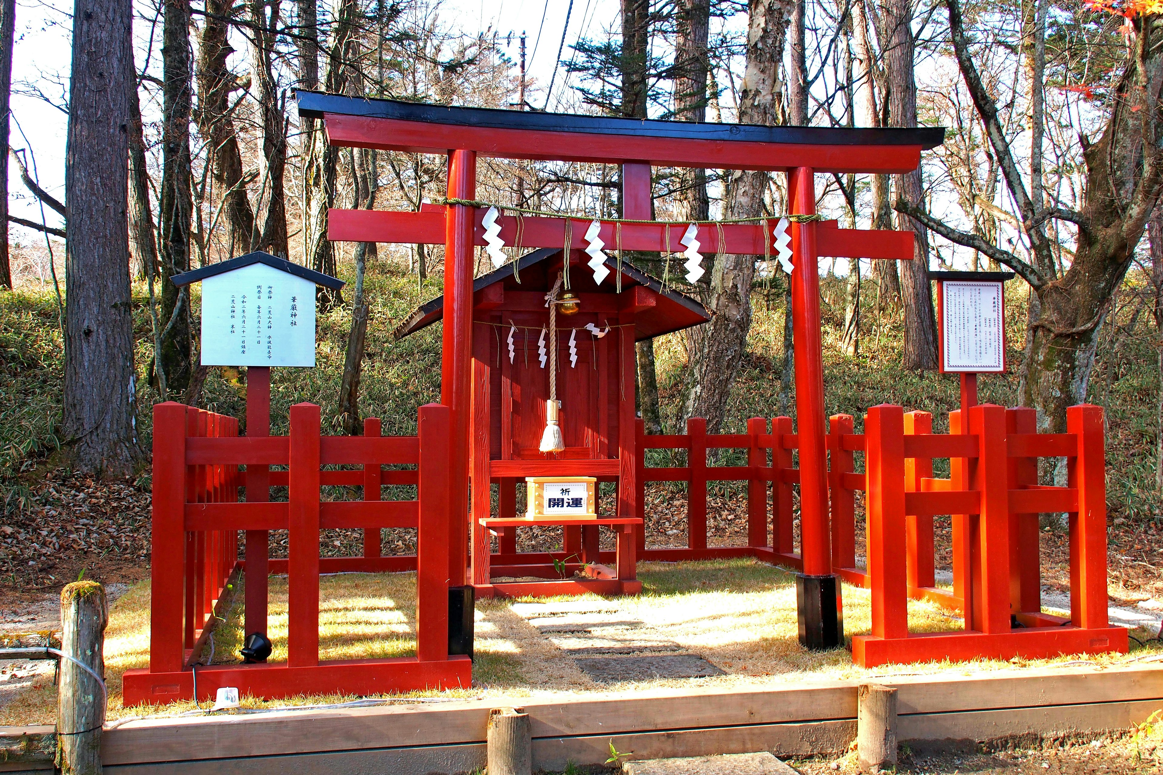 Gerbang torii merah dengan kuil dikelilingi hutan tenang