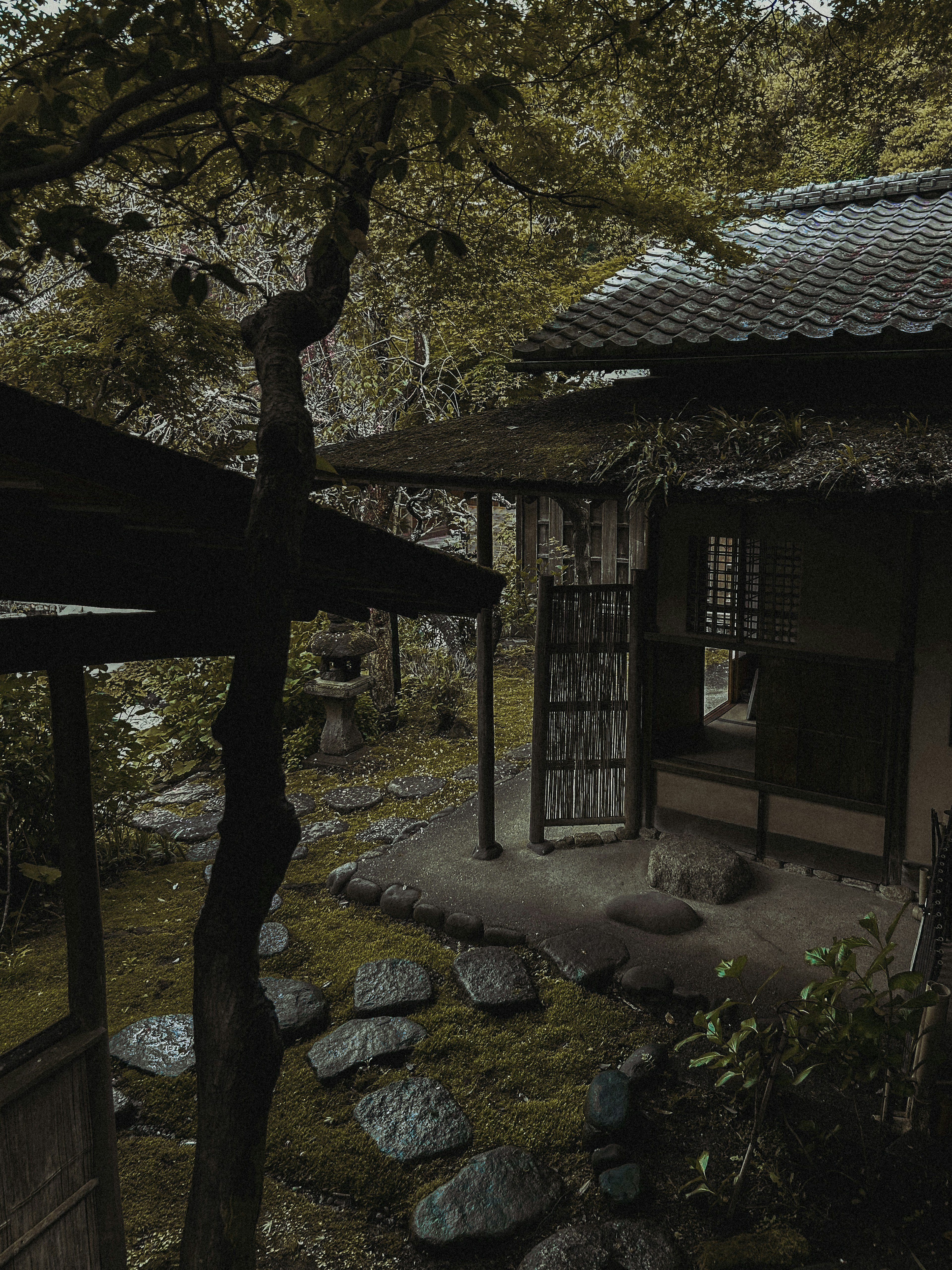 photo-nzoJvTf1U6abKB0hdZWw-image