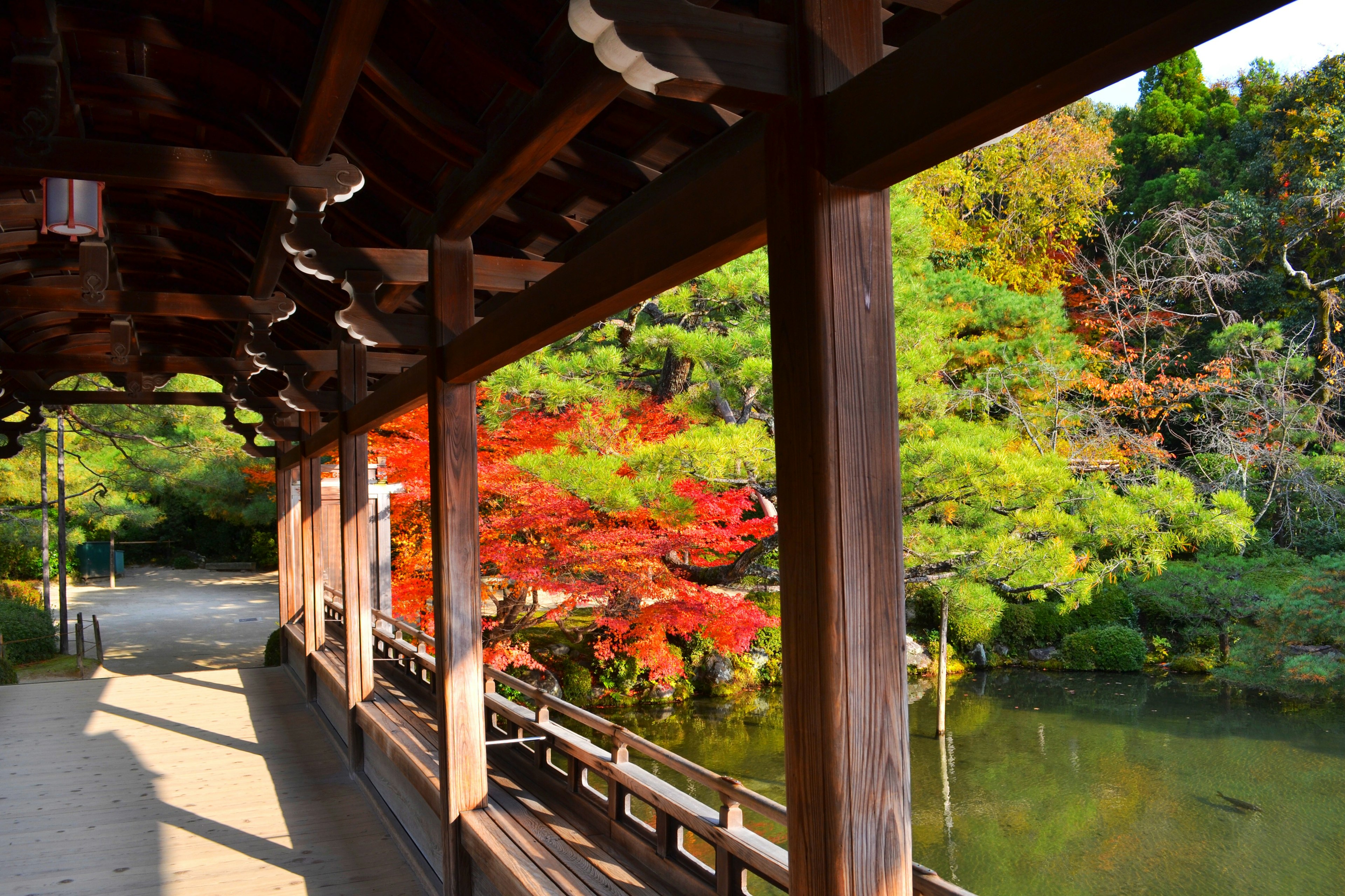 Koridor tradisional Jepang yang menghadap taman dengan dedaunan musim gugur yang cerah