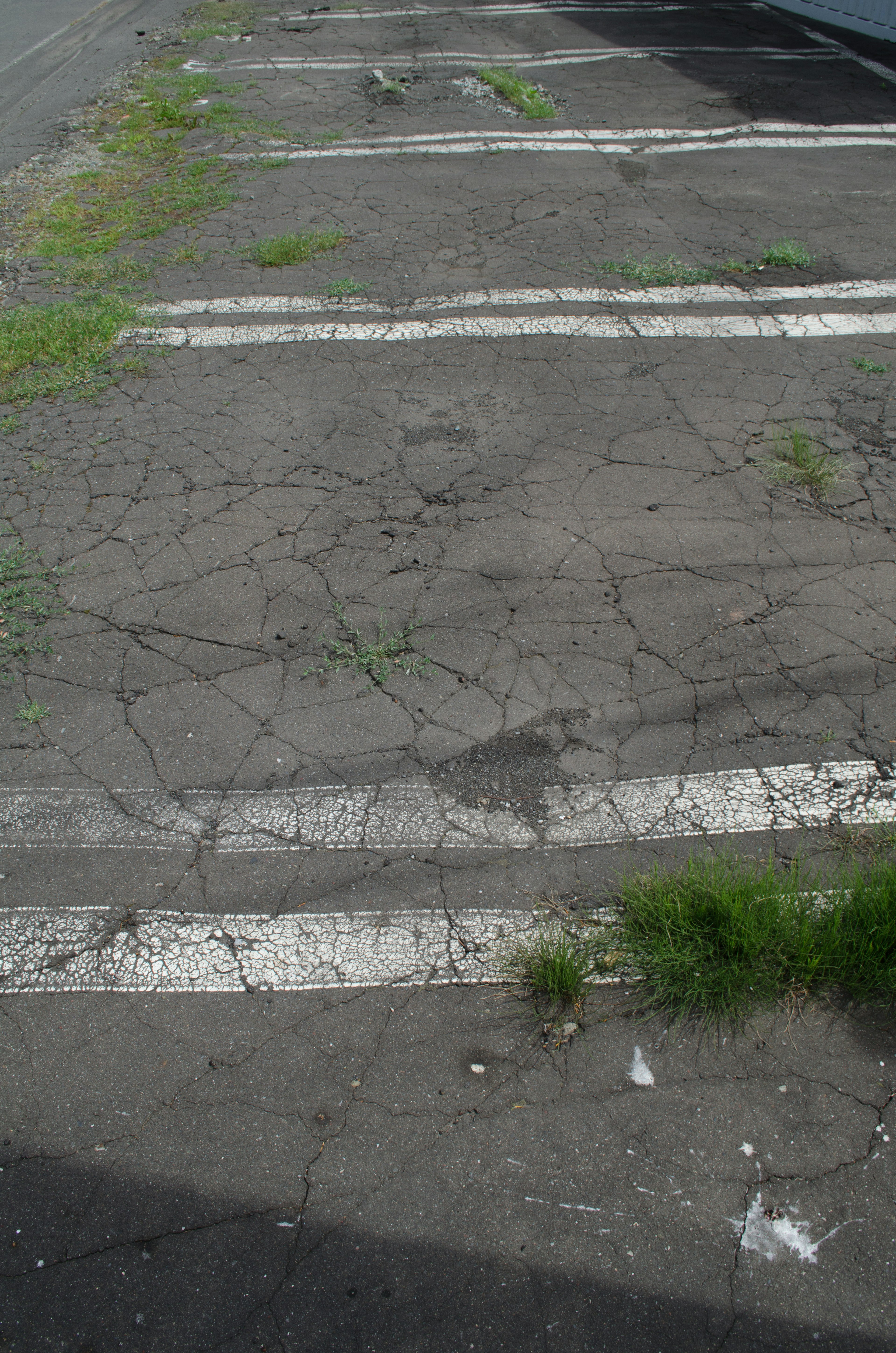 Cracked asphalt parking lot with overgrown grass and faded white lines