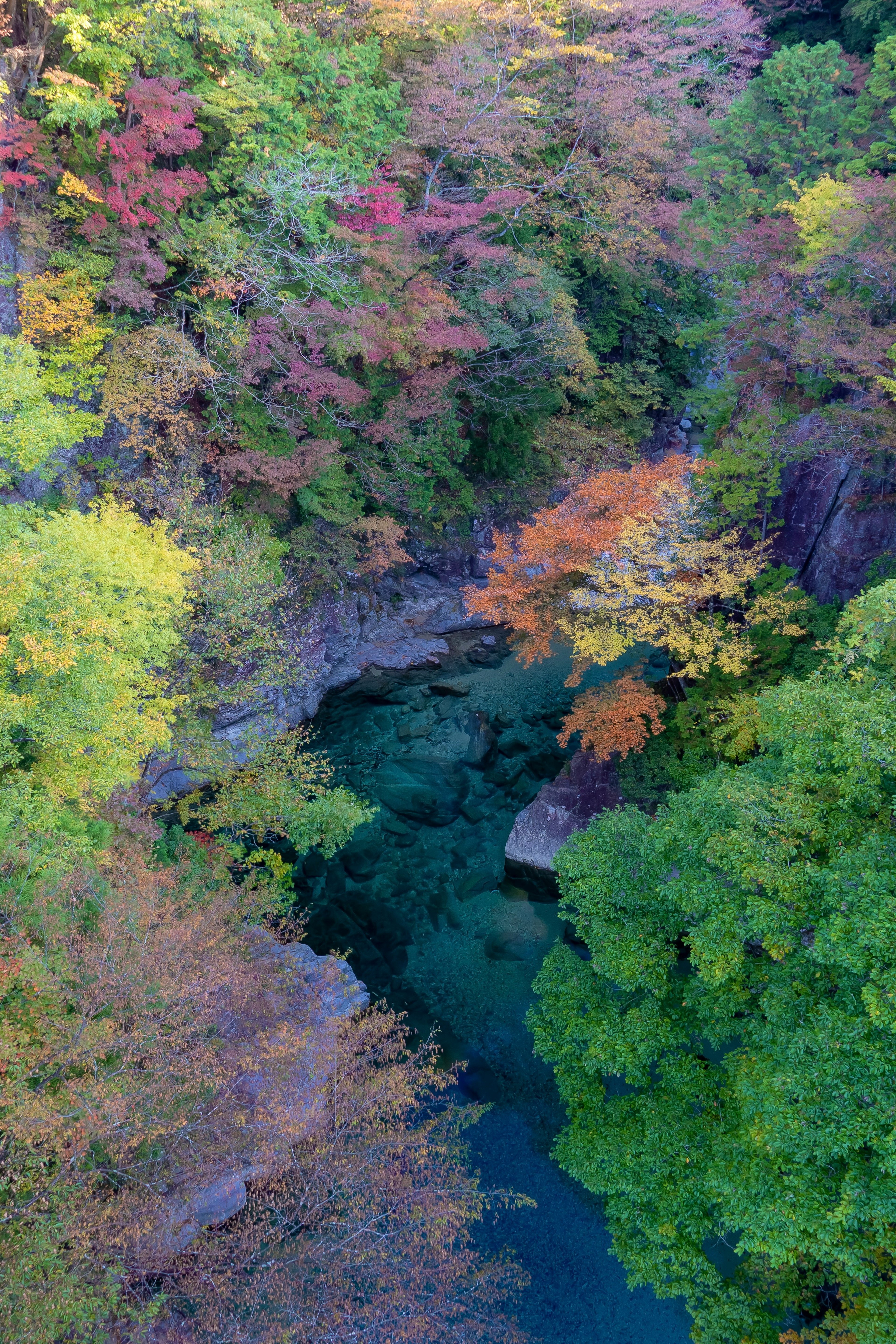 色とりどりの秋の葉に囲まれた静かな川の上空からの眺め