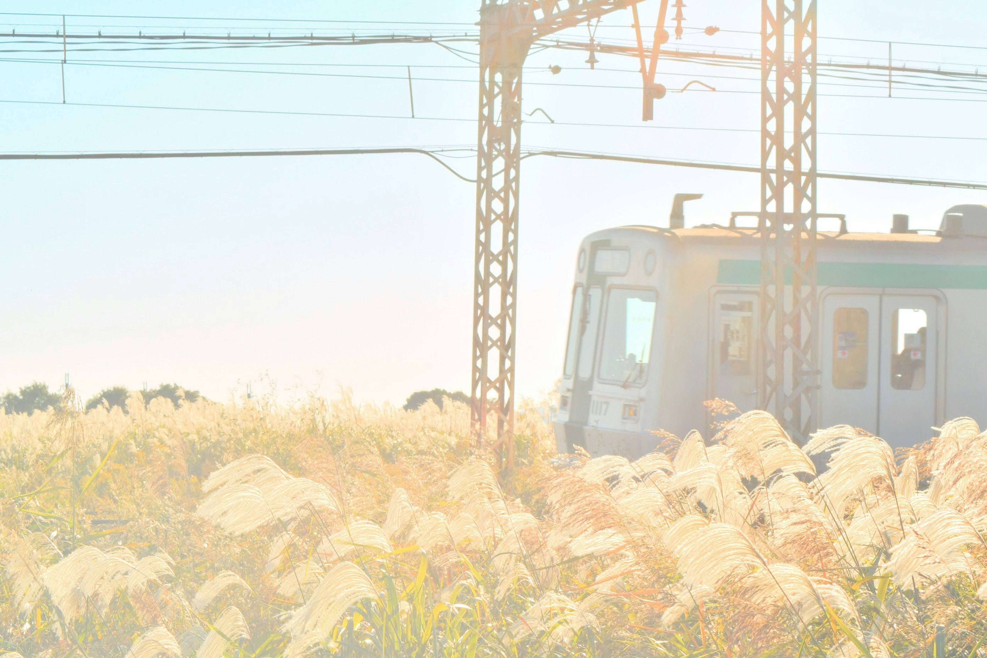 Kereta api melintas di ladang rumput tinggi di bawah langit biru yang cerah