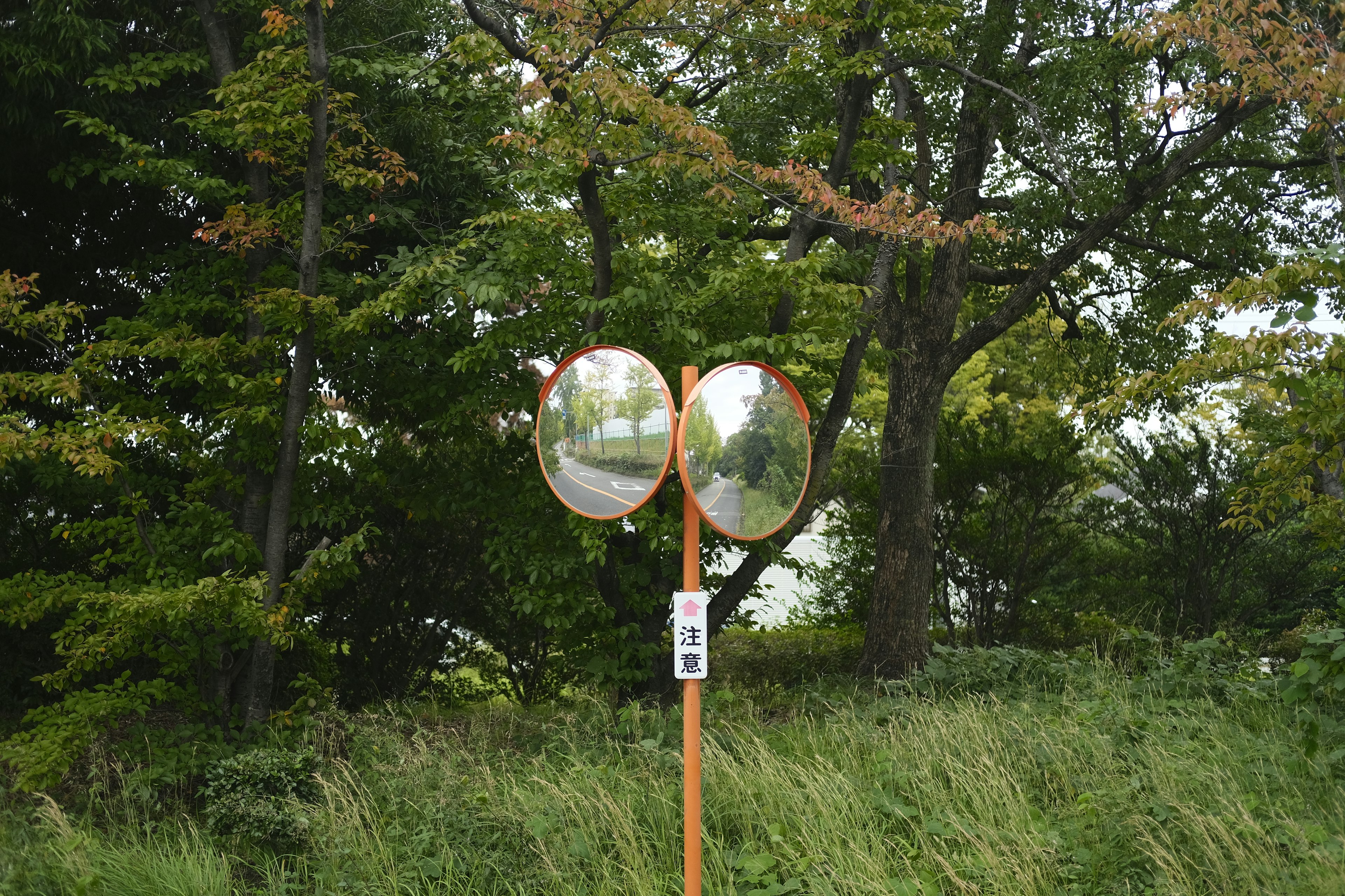 Landscape featuring two convex mirrors standing among trees