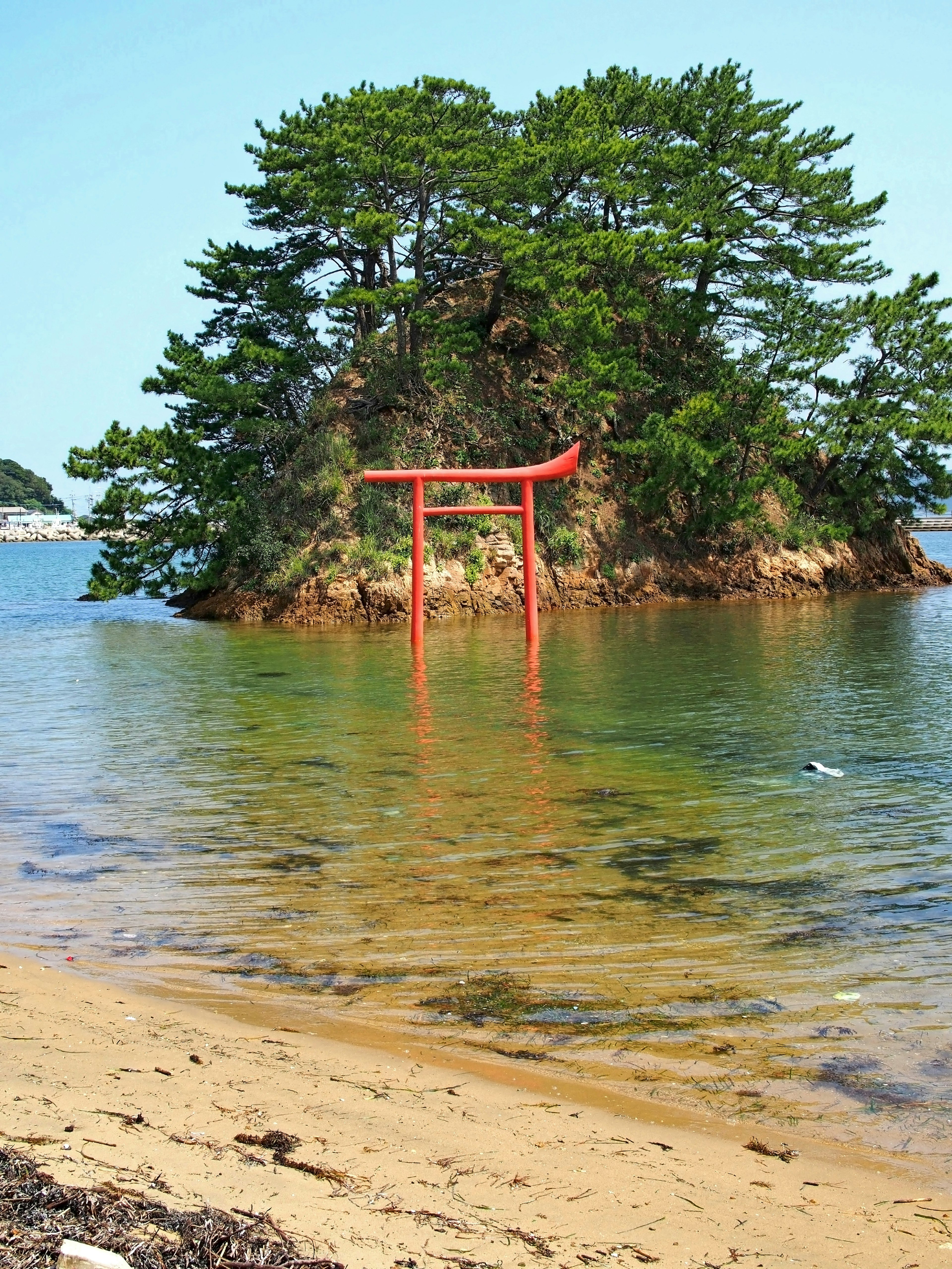 Eine kleine Insel umgeben von klarem Wasser mit einem roten Torii und grünen Kiefern