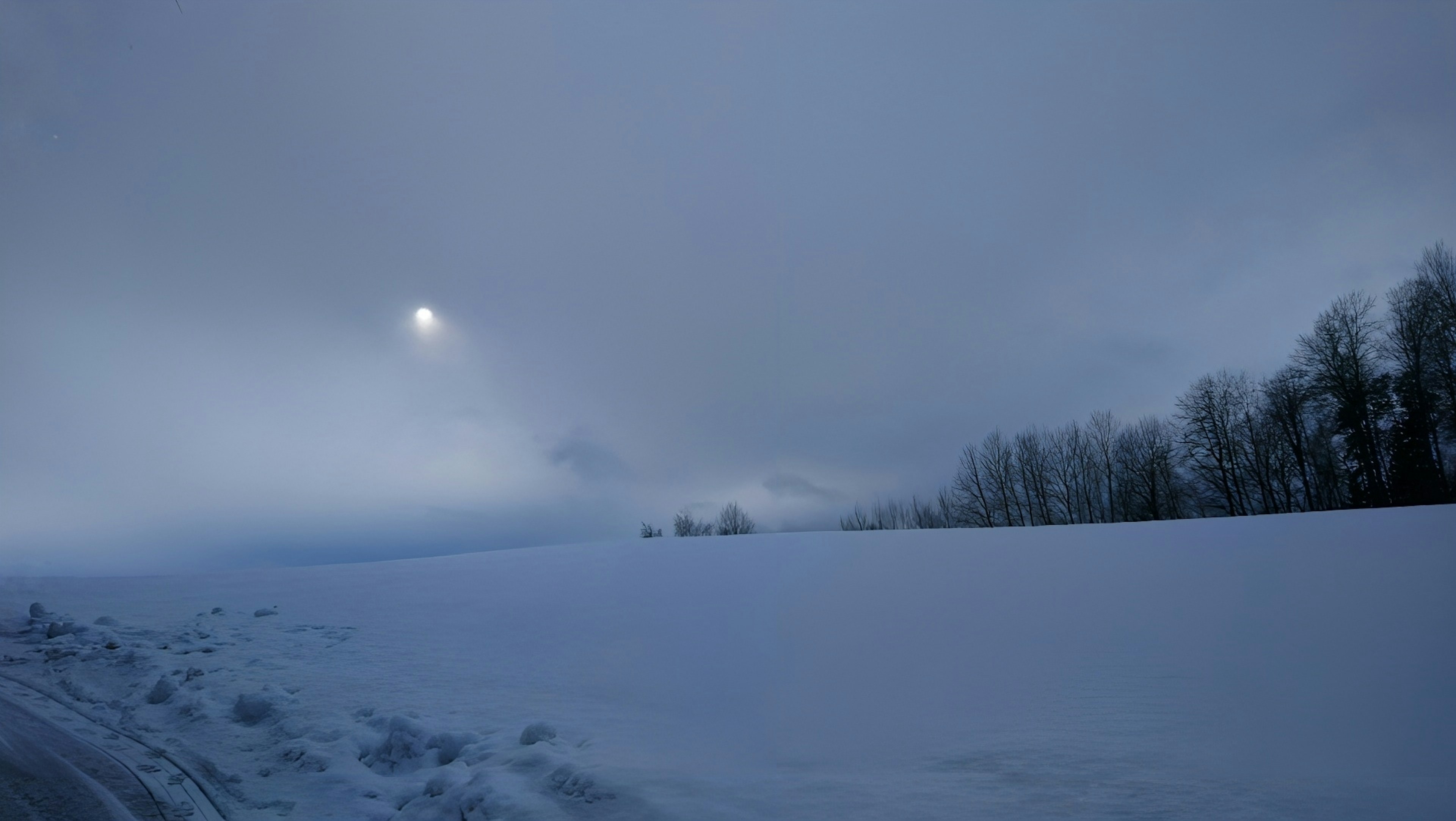 被雪覆盖的景观和昏暗的天空中可见的月亮