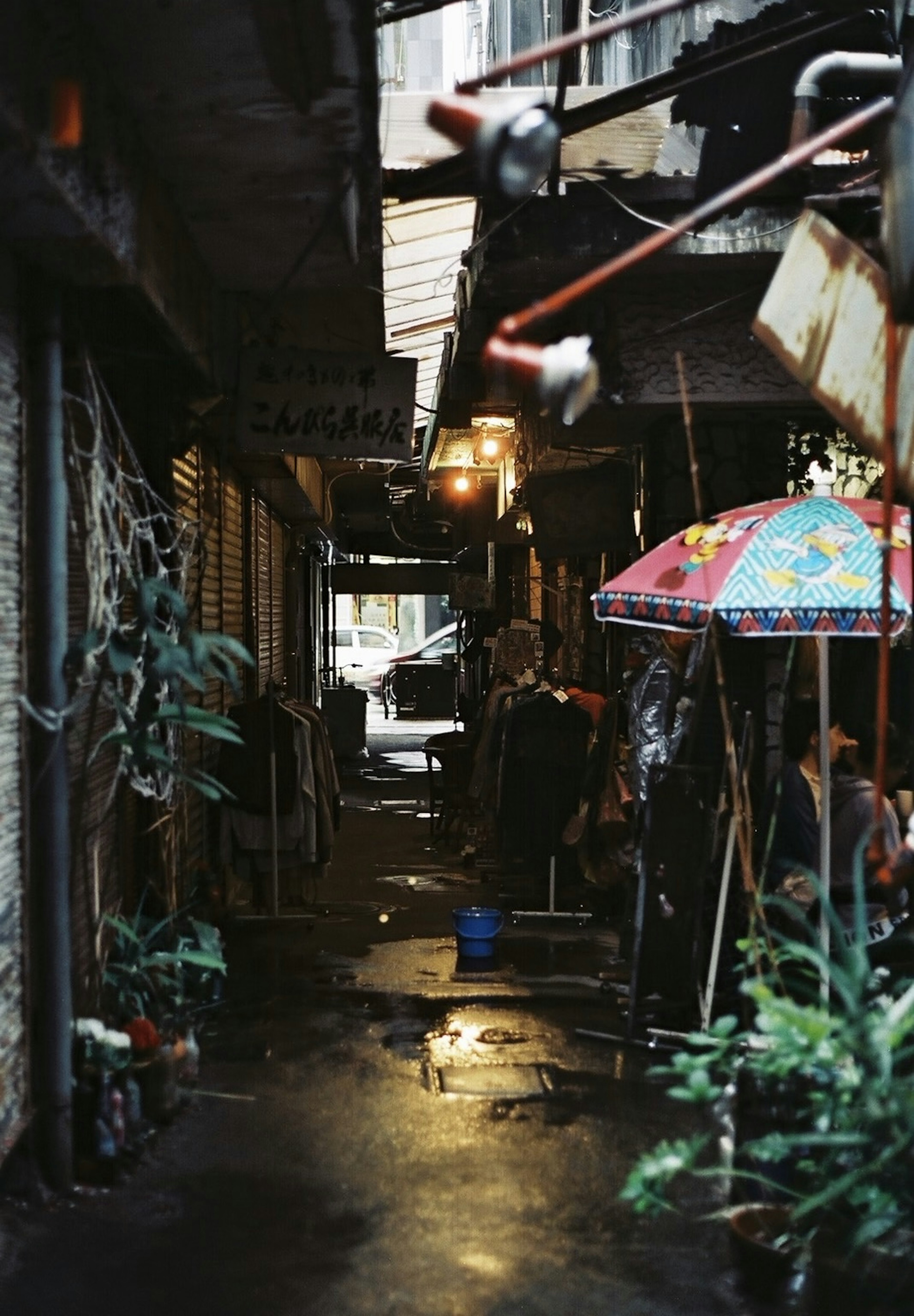 Ruelle étroite avec un parapluie coloré et des plantes