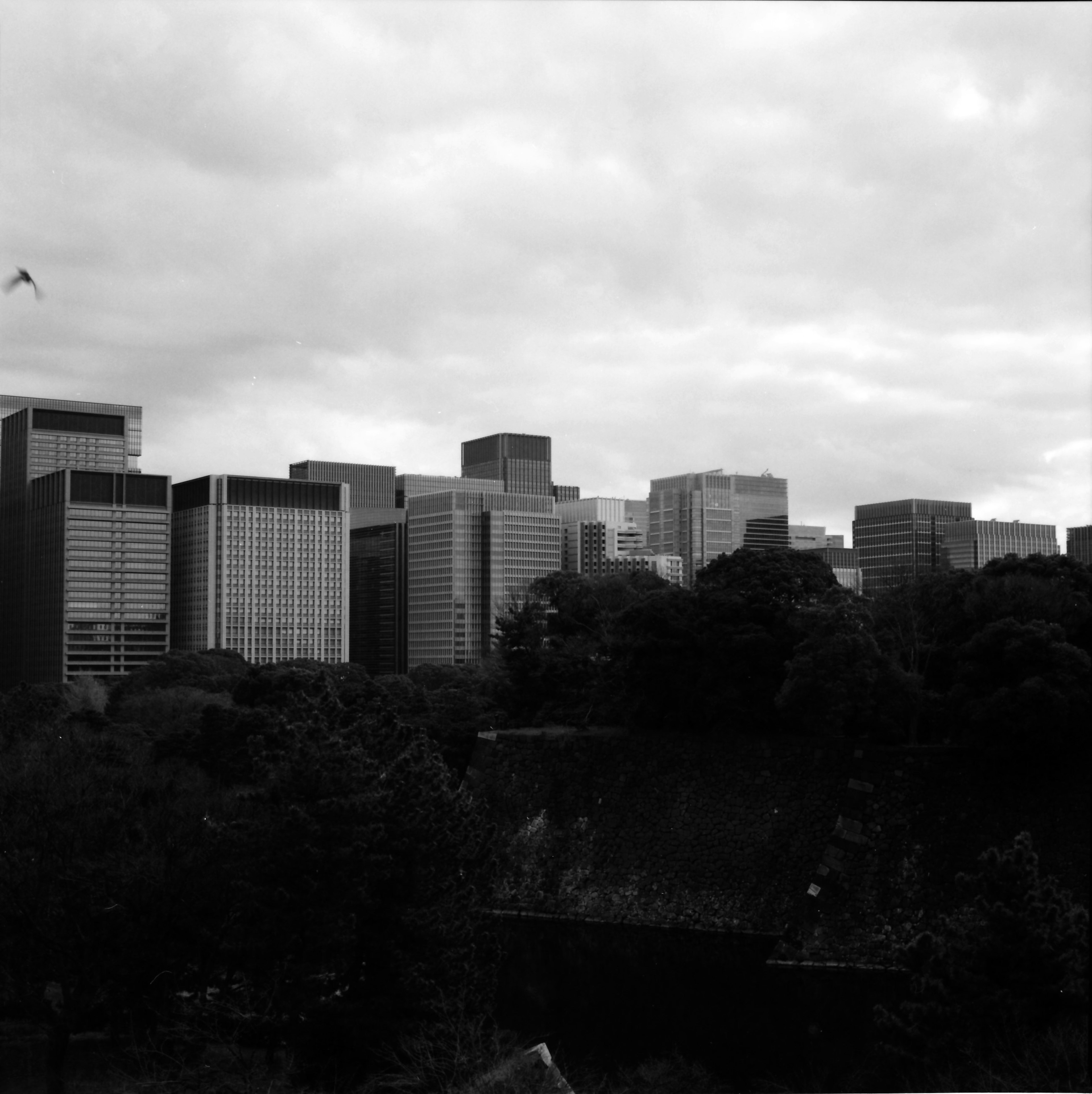 Black and white cityscape featuring skyscrapers and overcast sky