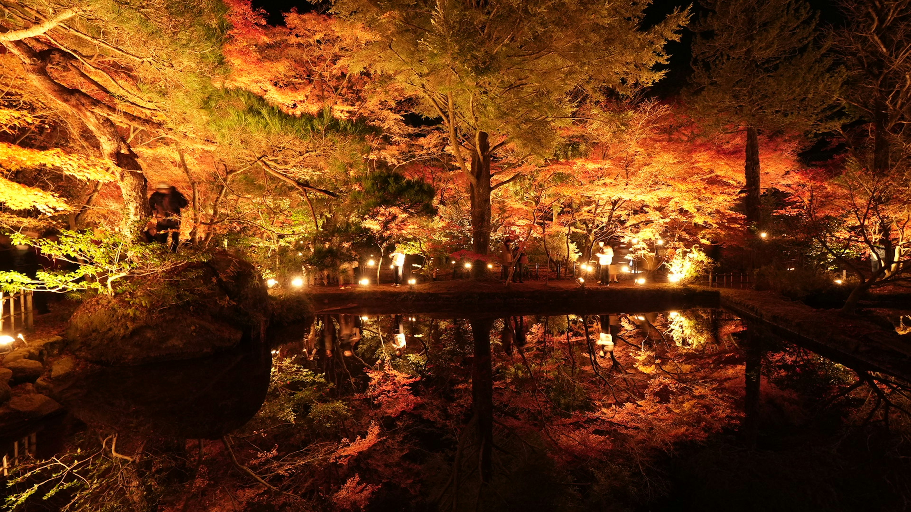 美しい秋の紅葉が照明で照らされた池の風景