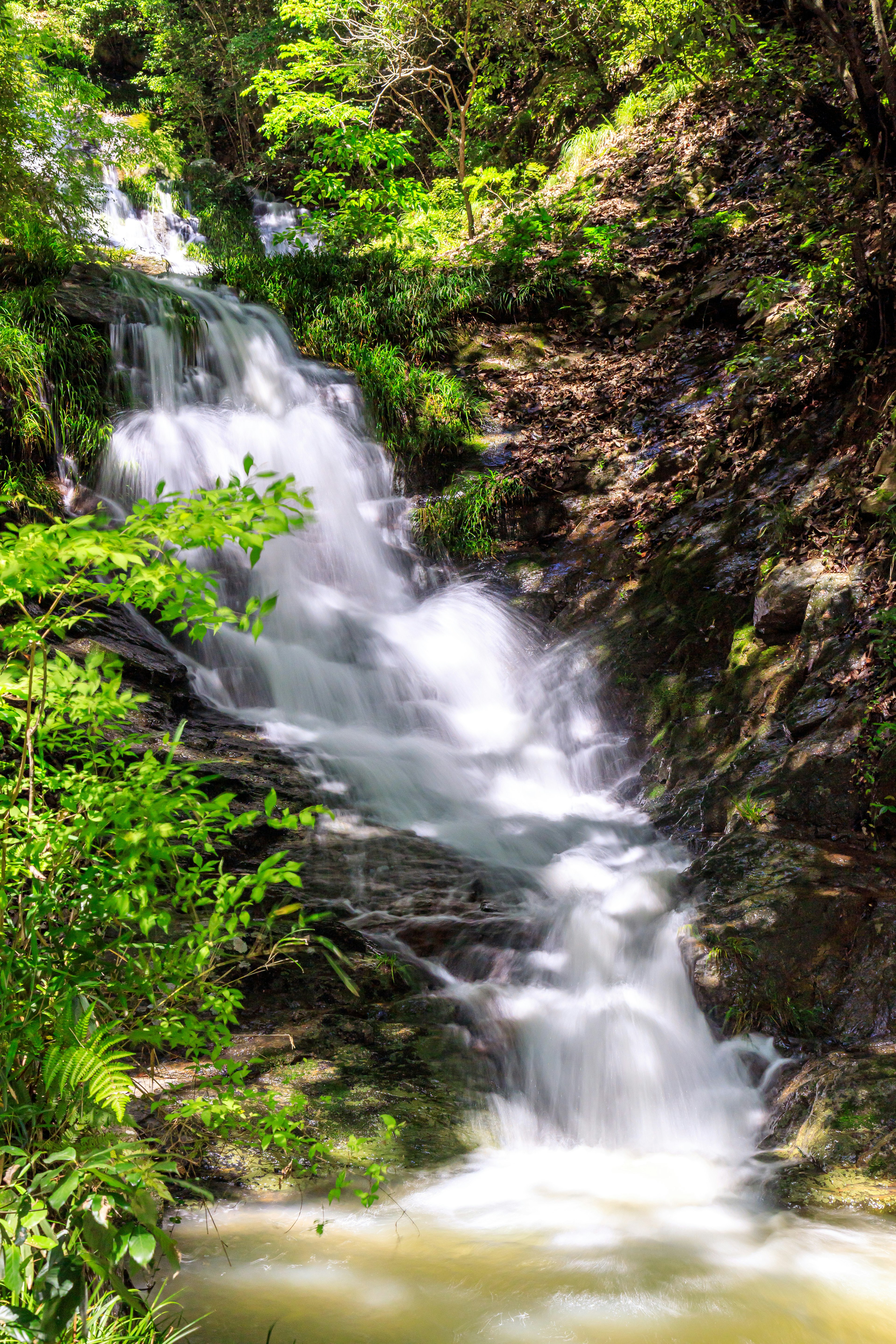 Una bella cascata circondata da una vegetazione lussureggiante