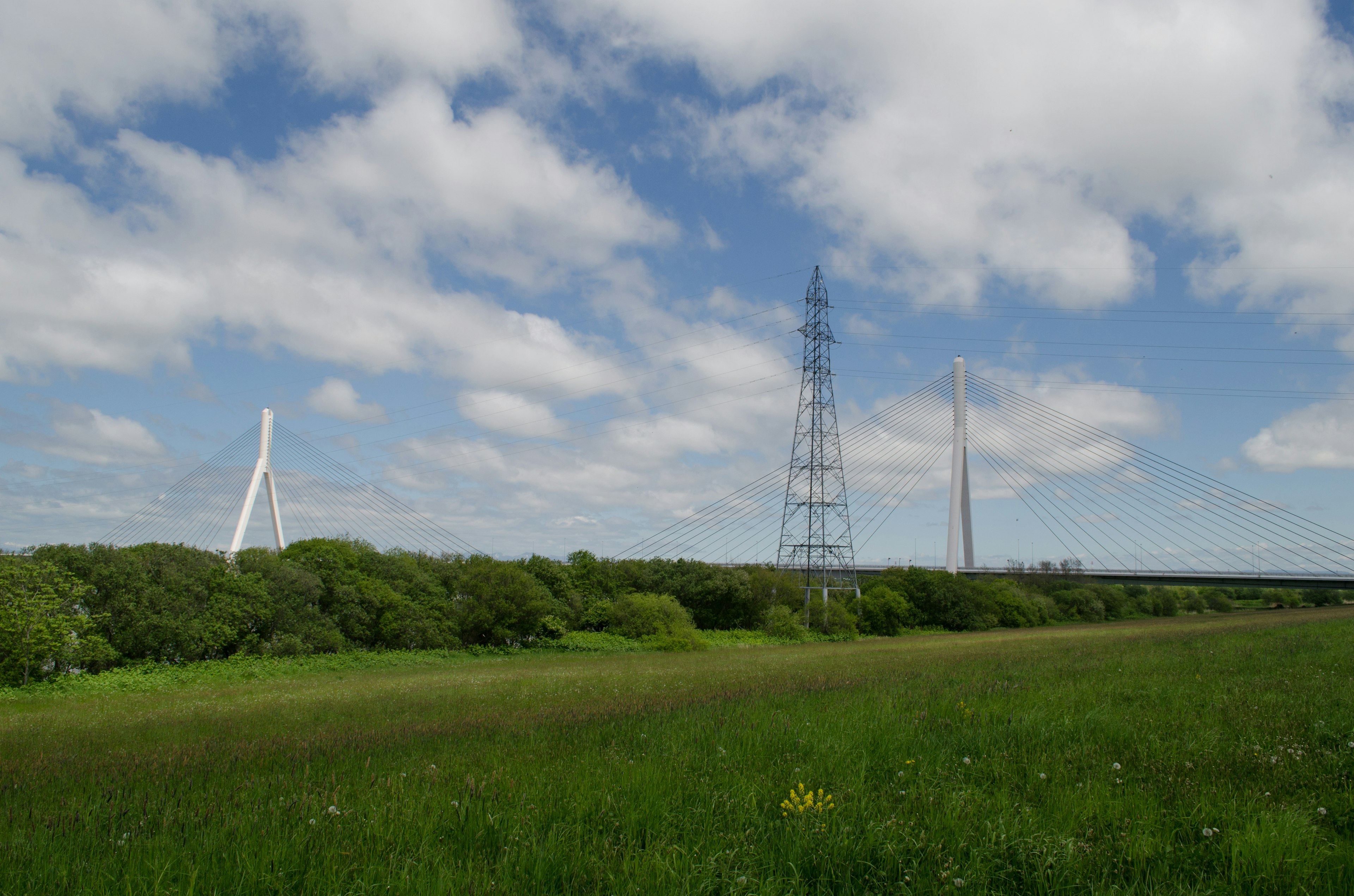 Dos puentes y una alta torre de línea eléctrica bajo un cielo azul con un prado verde