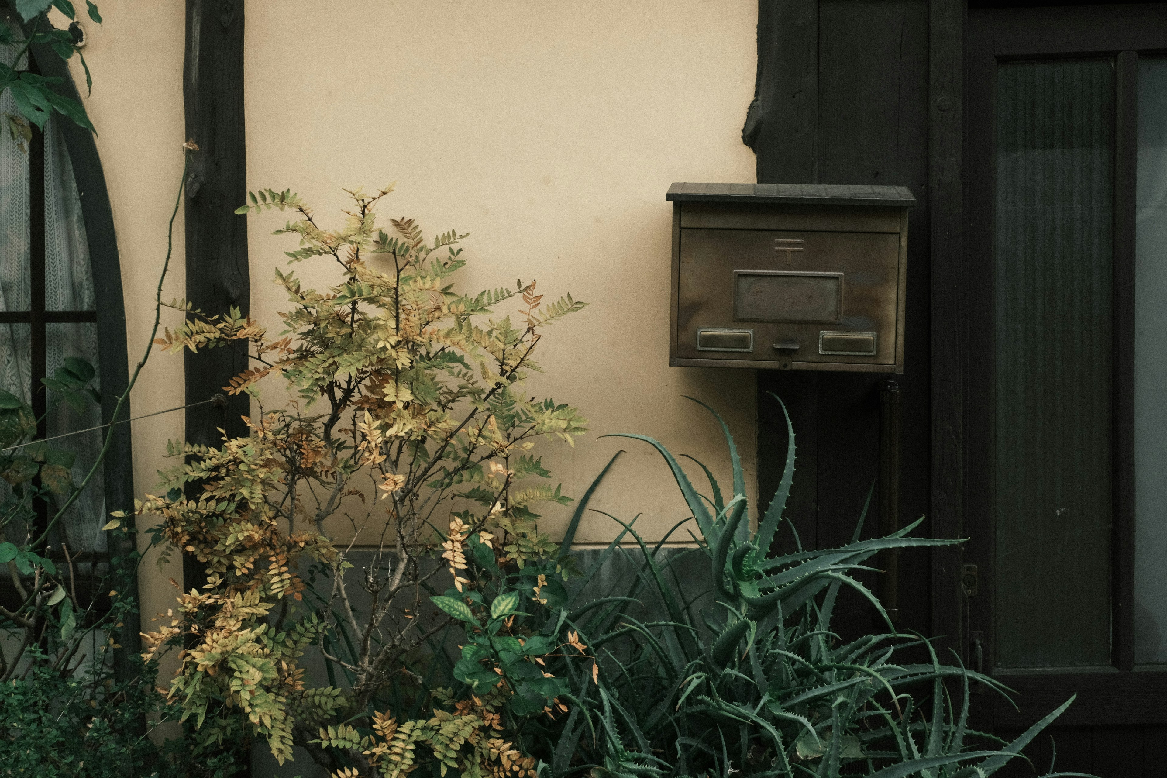 Une vieille boîte aux lettres à côté de verdure luxuriante et de plantes