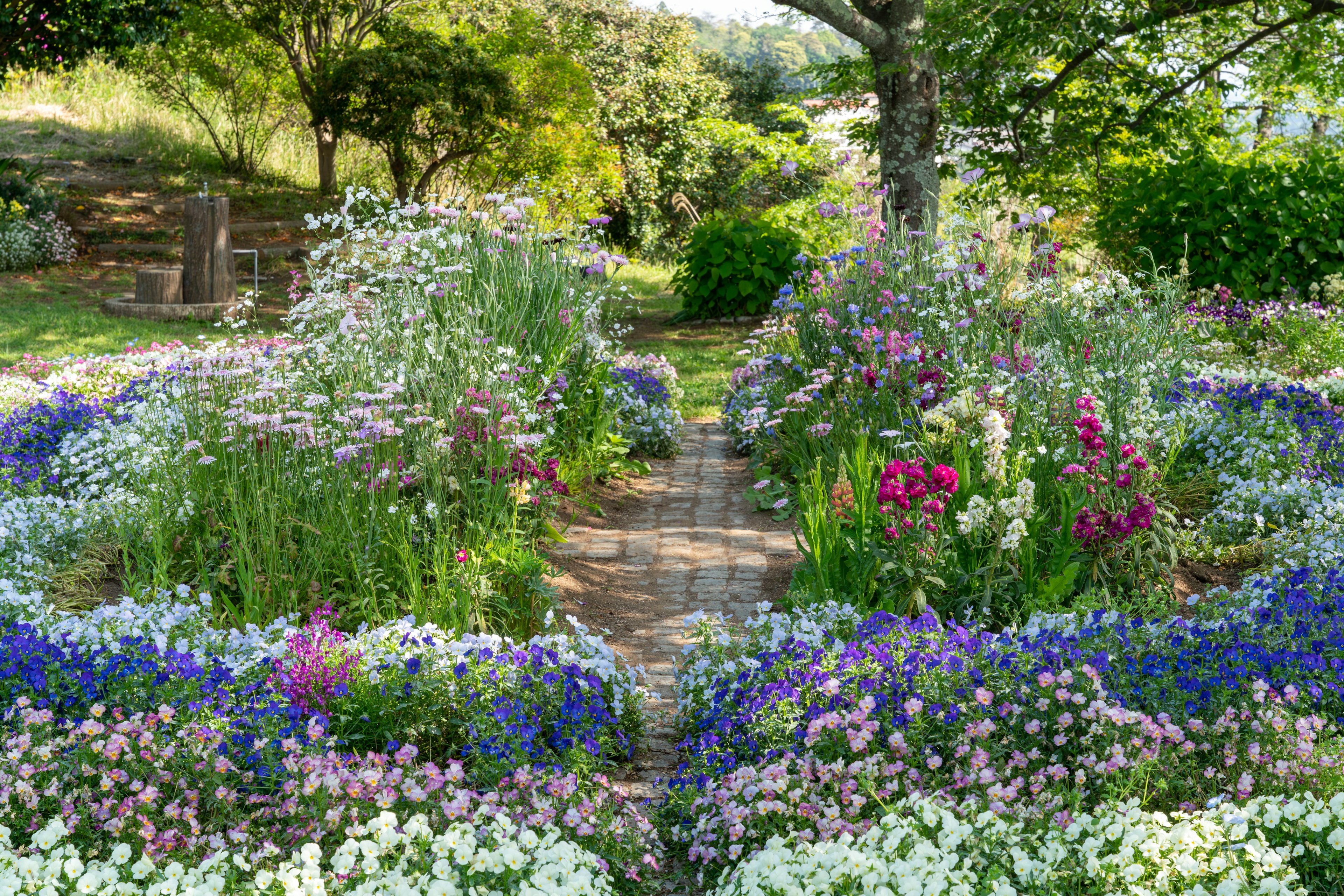 Sendero rodeado de flores coloridas en un jardín