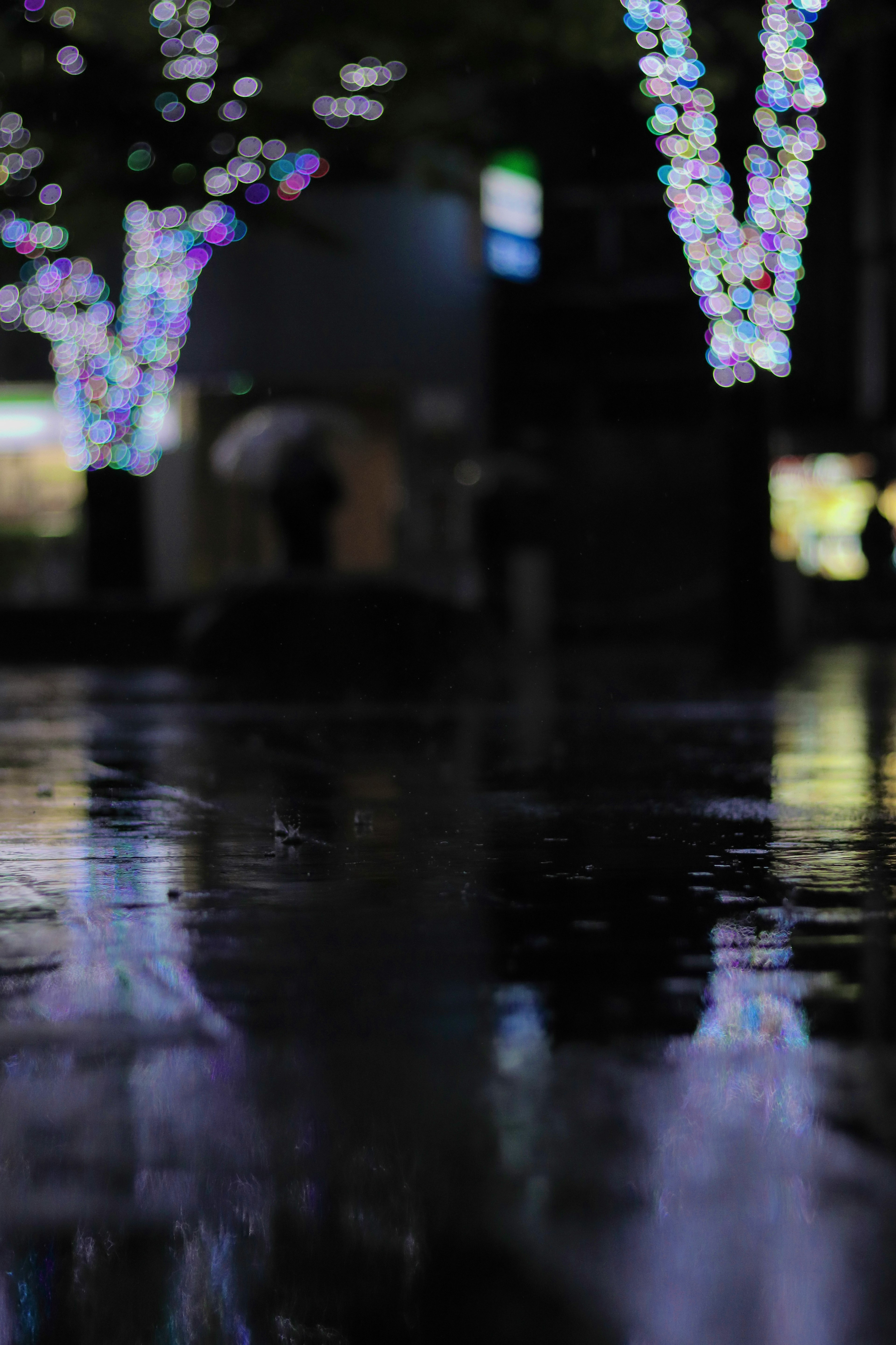 Luces coloridas reflejándose en una superficie mojada con siluetas de árboles