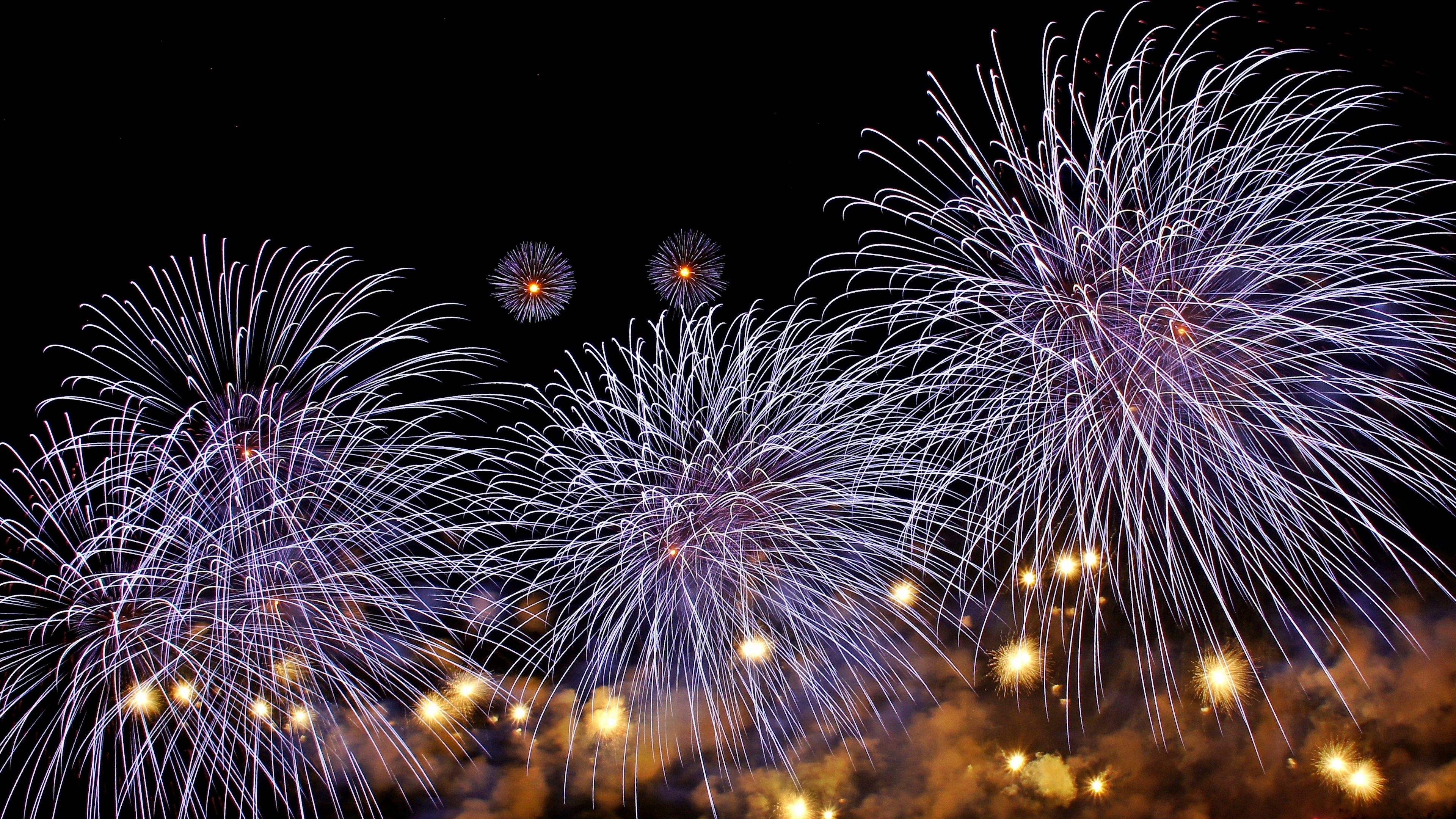 Hermoso espectáculo de fuegos artificiales en el cielo nocturno