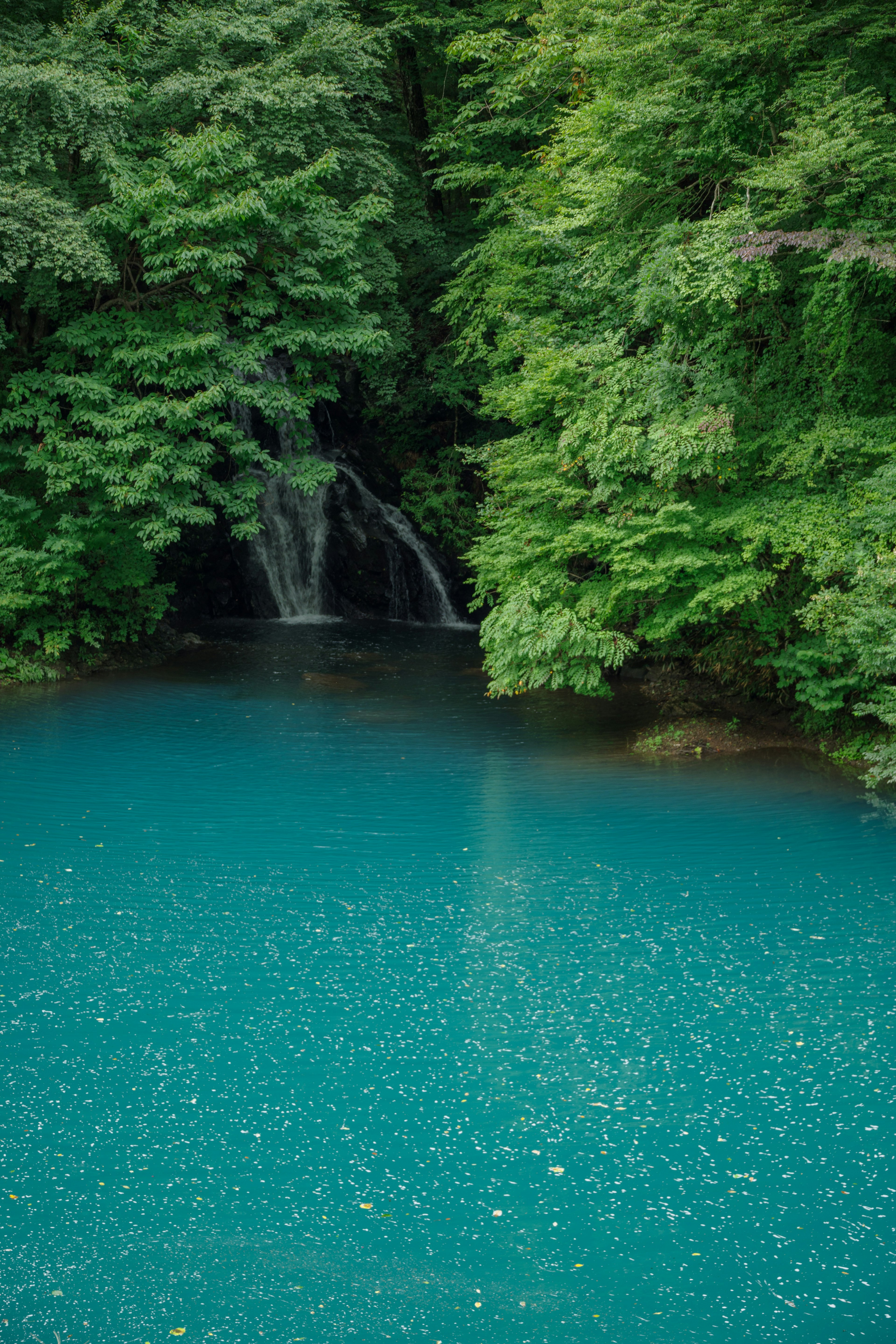 被郁郁葱葱的绿色树木和瀑布环绕的蓝绿色湖泊的风景