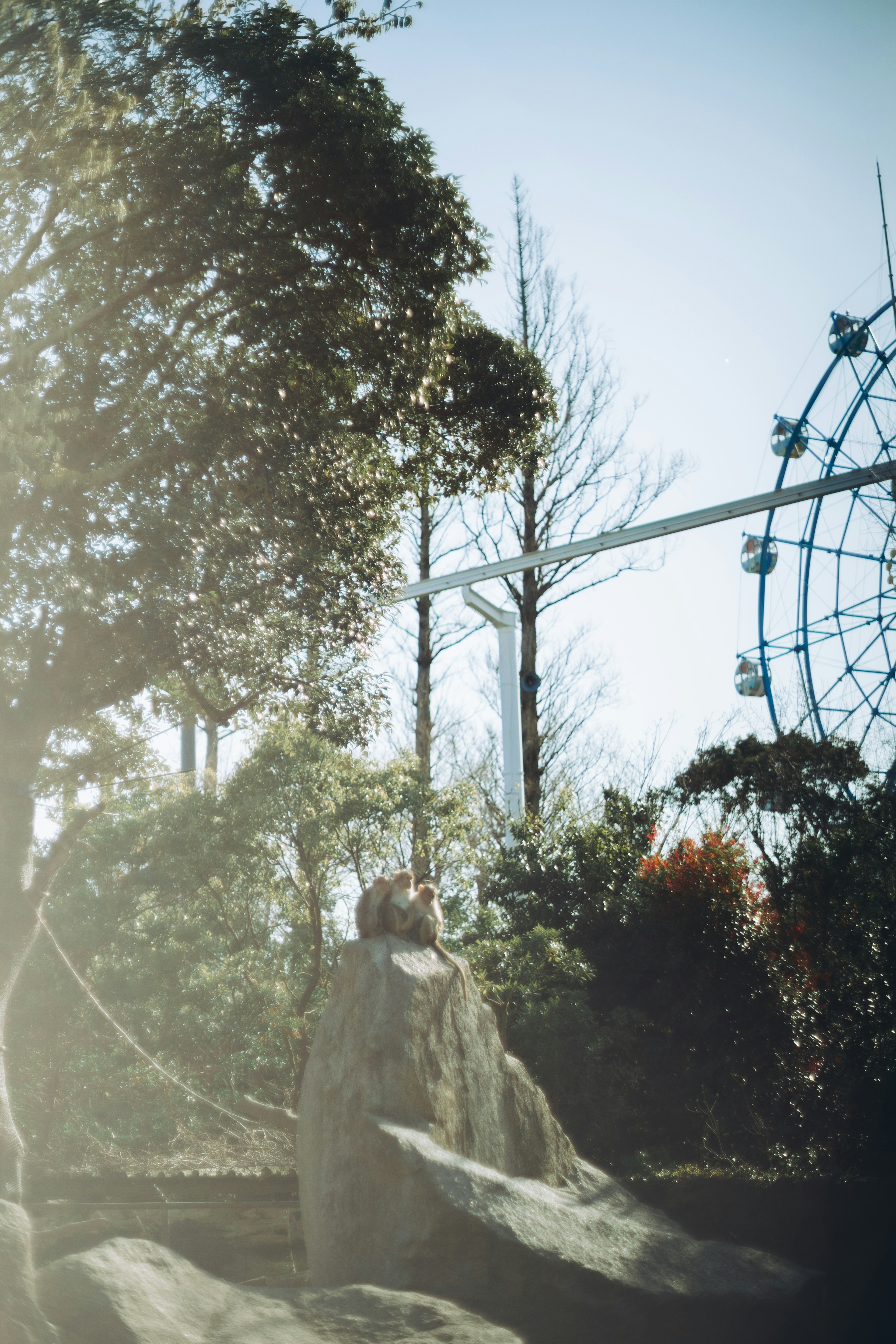 A scenic view of a large rock and trees with a ferris wheel in the background