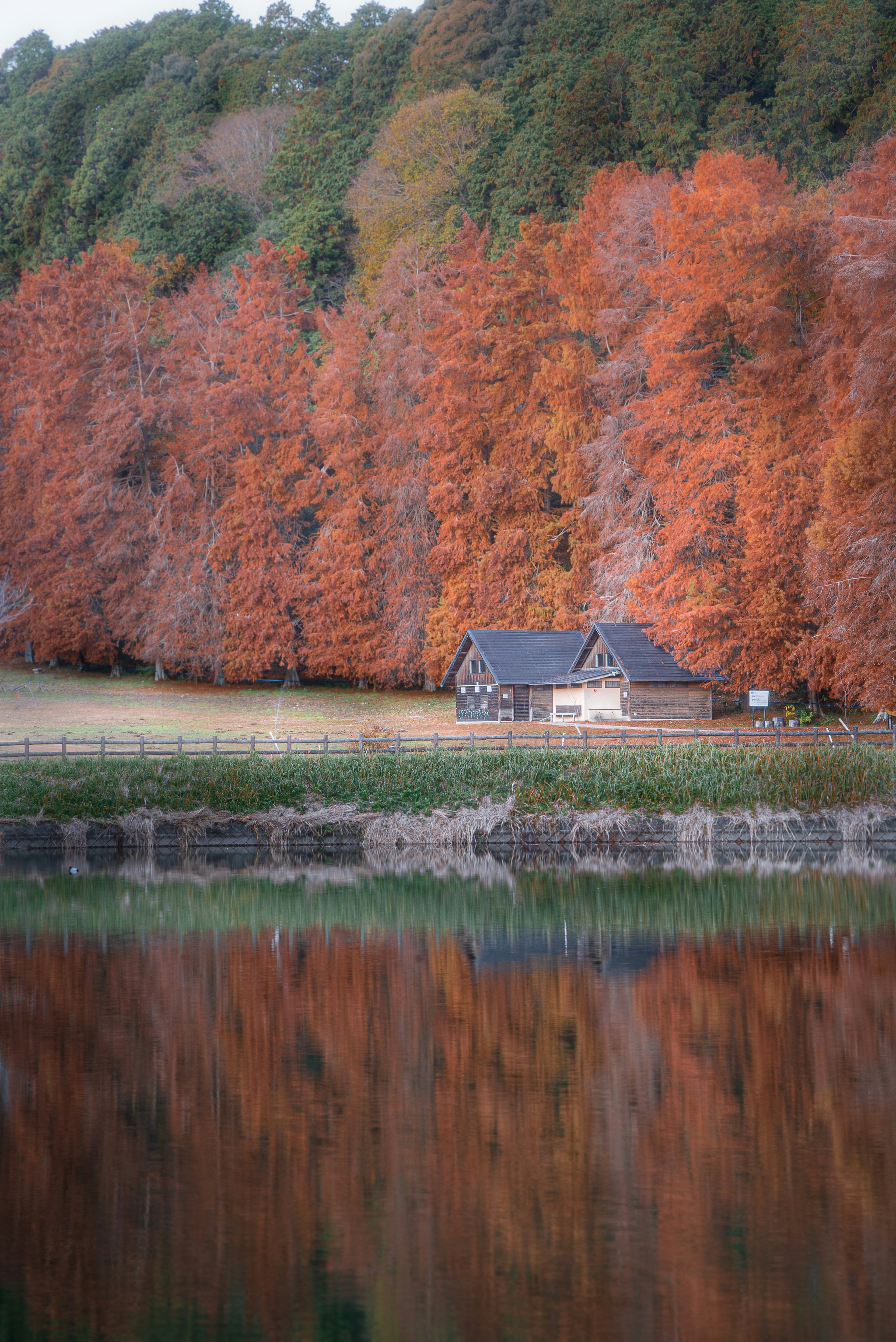 Ein gemütliches Haus umgeben von herbstlich gefärbten Bäumen und einem spiegelnden See