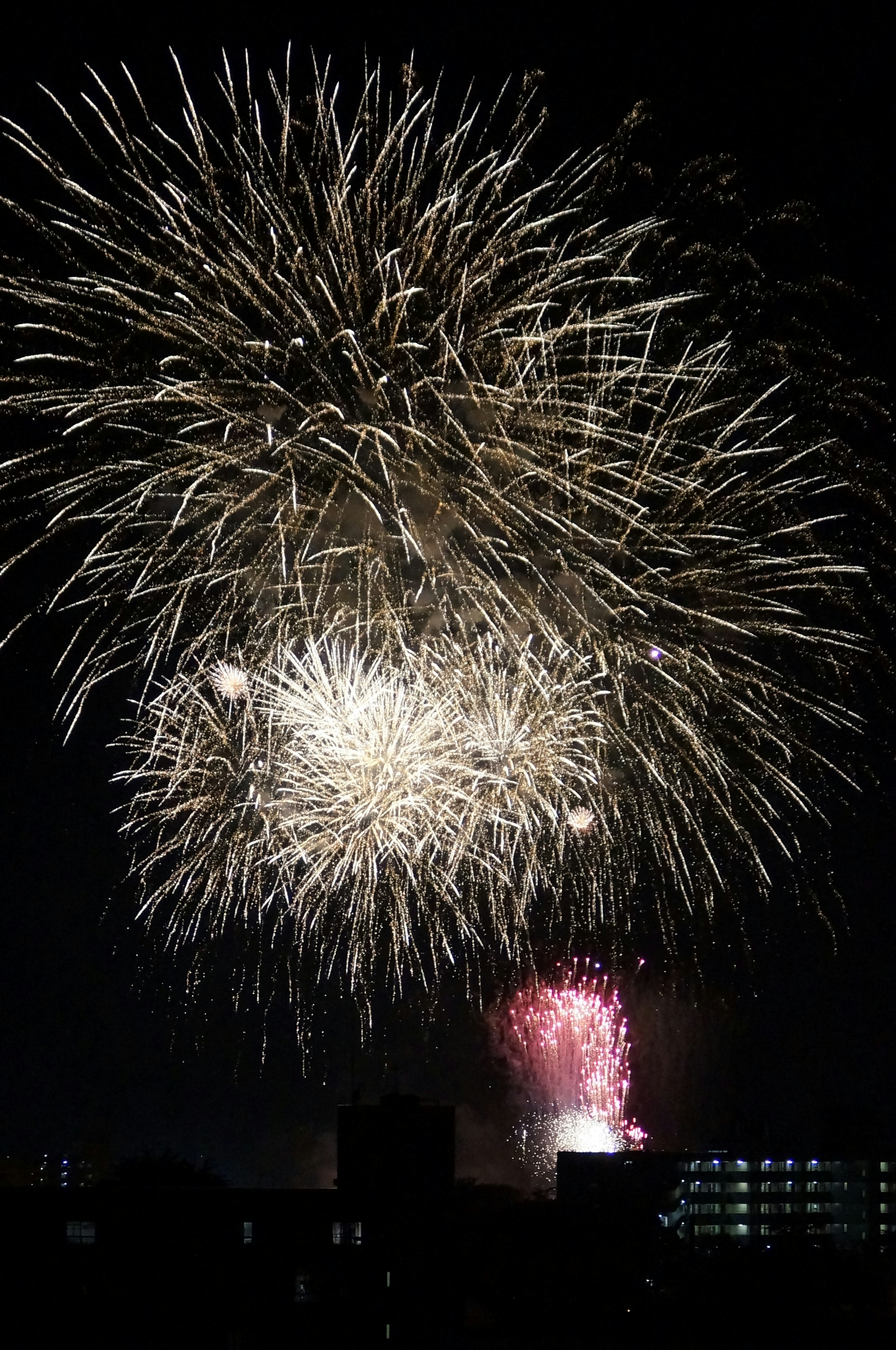 Hermoso espectáculo de fuegos artificiales en el cielo nocturno