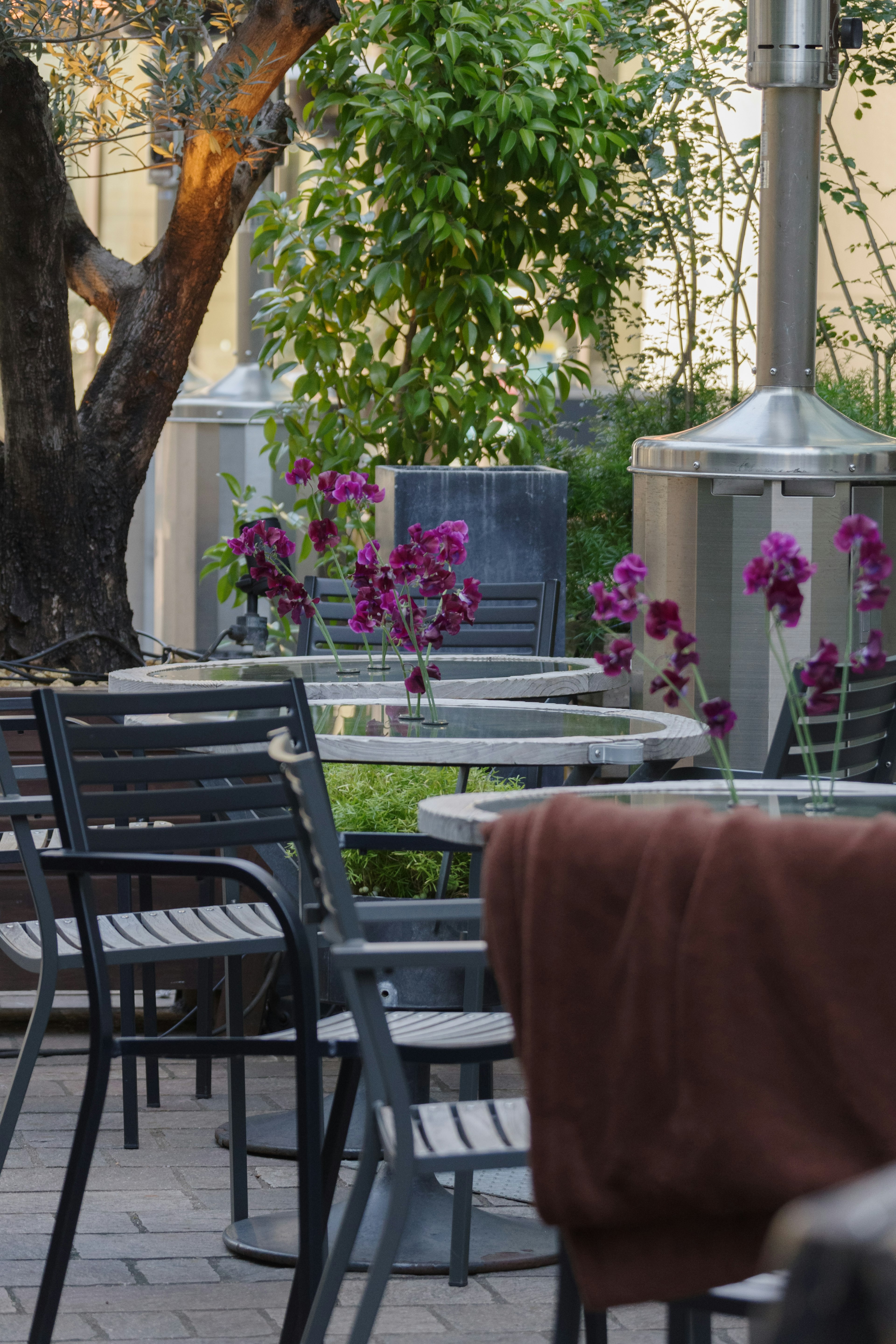 Área de café al aire libre con mesas y sillas y orquídeas moradas en flor