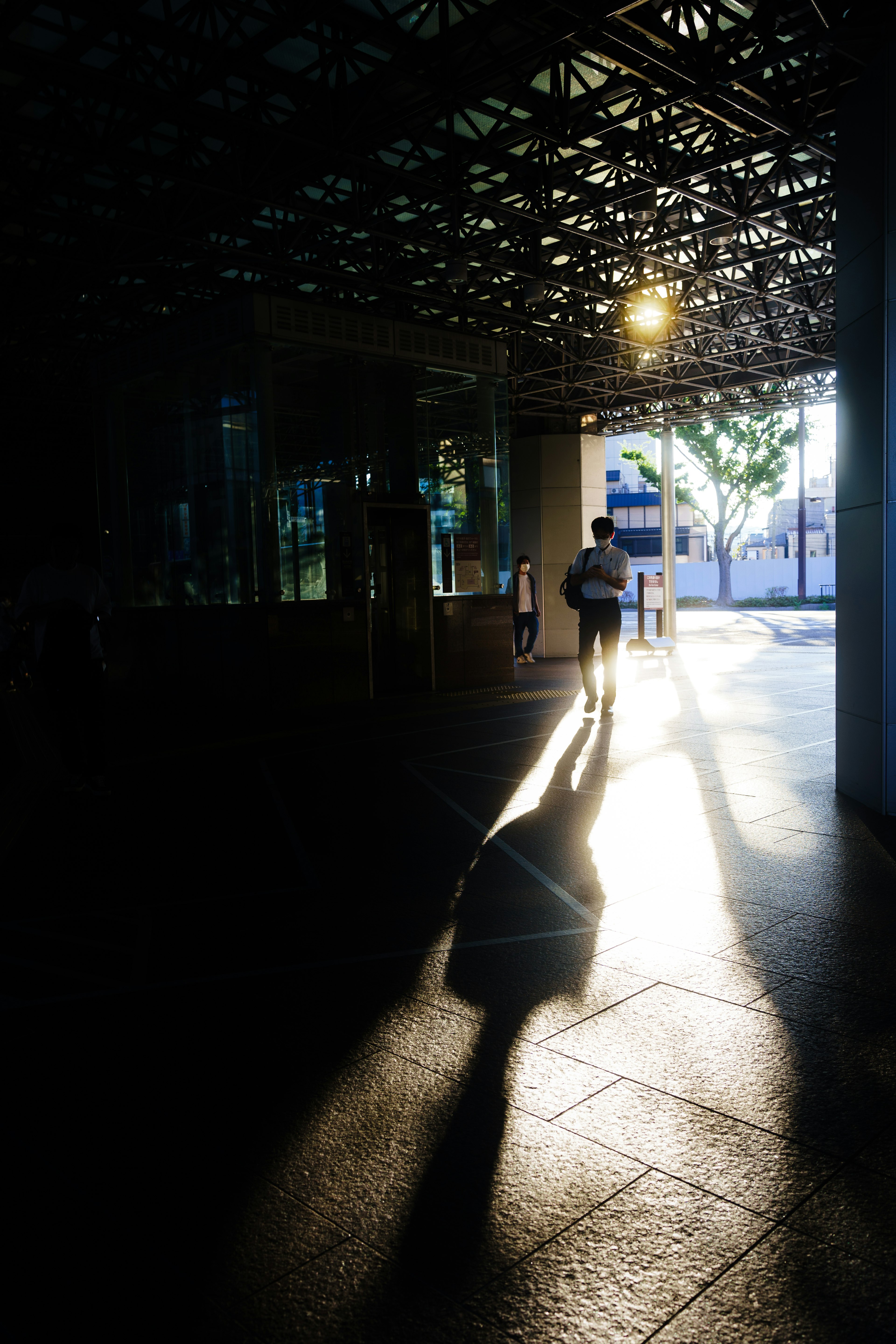 A person walking in sunlight with a long shadow