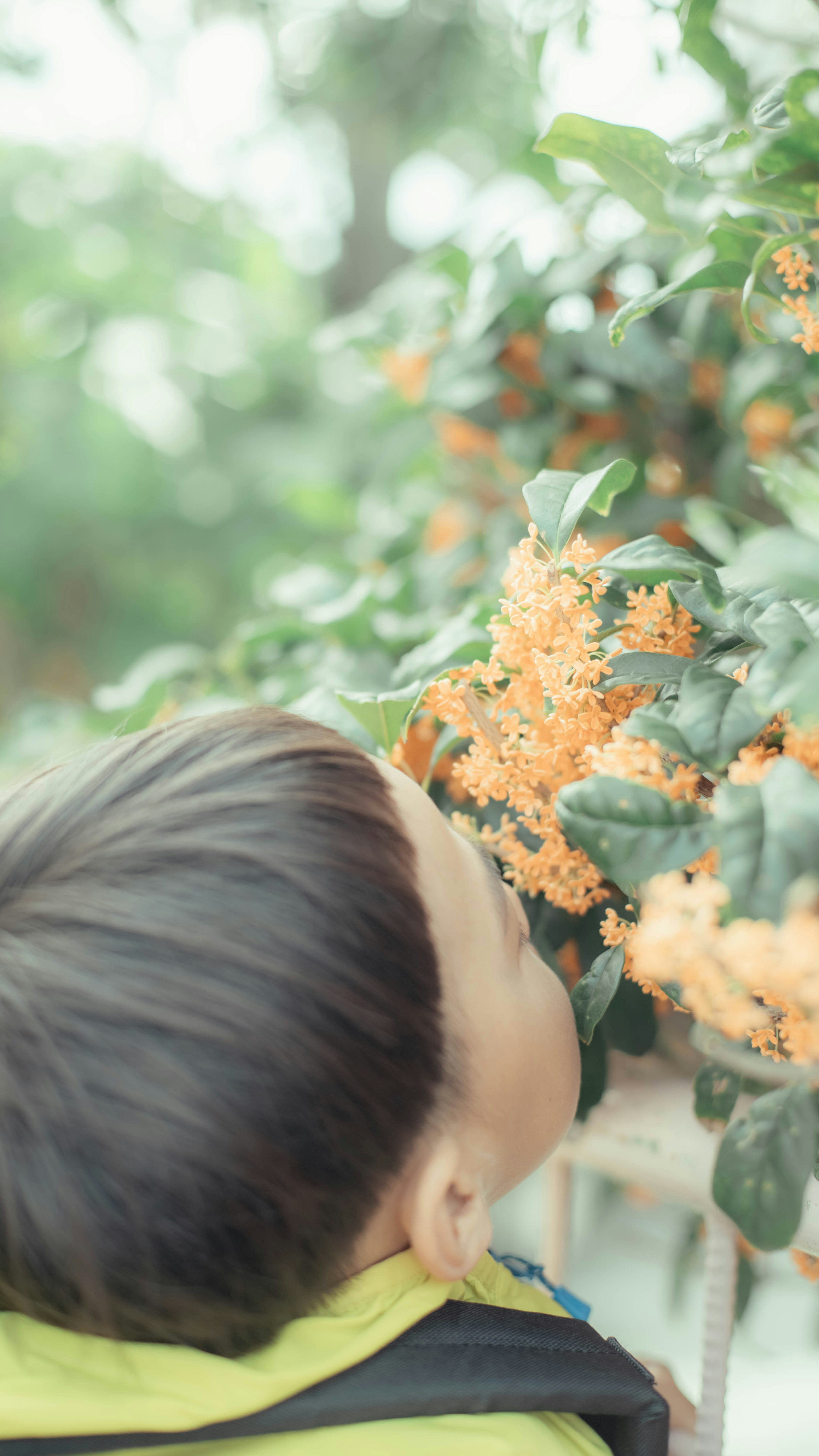 子供が花に鼻を近づけている様子